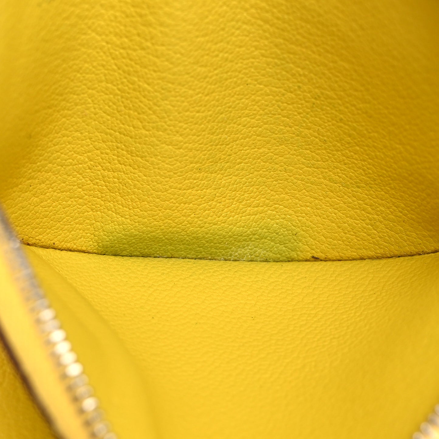 Chevre Mysore Mini In-The-Loop Card Holder Jaune De Naples