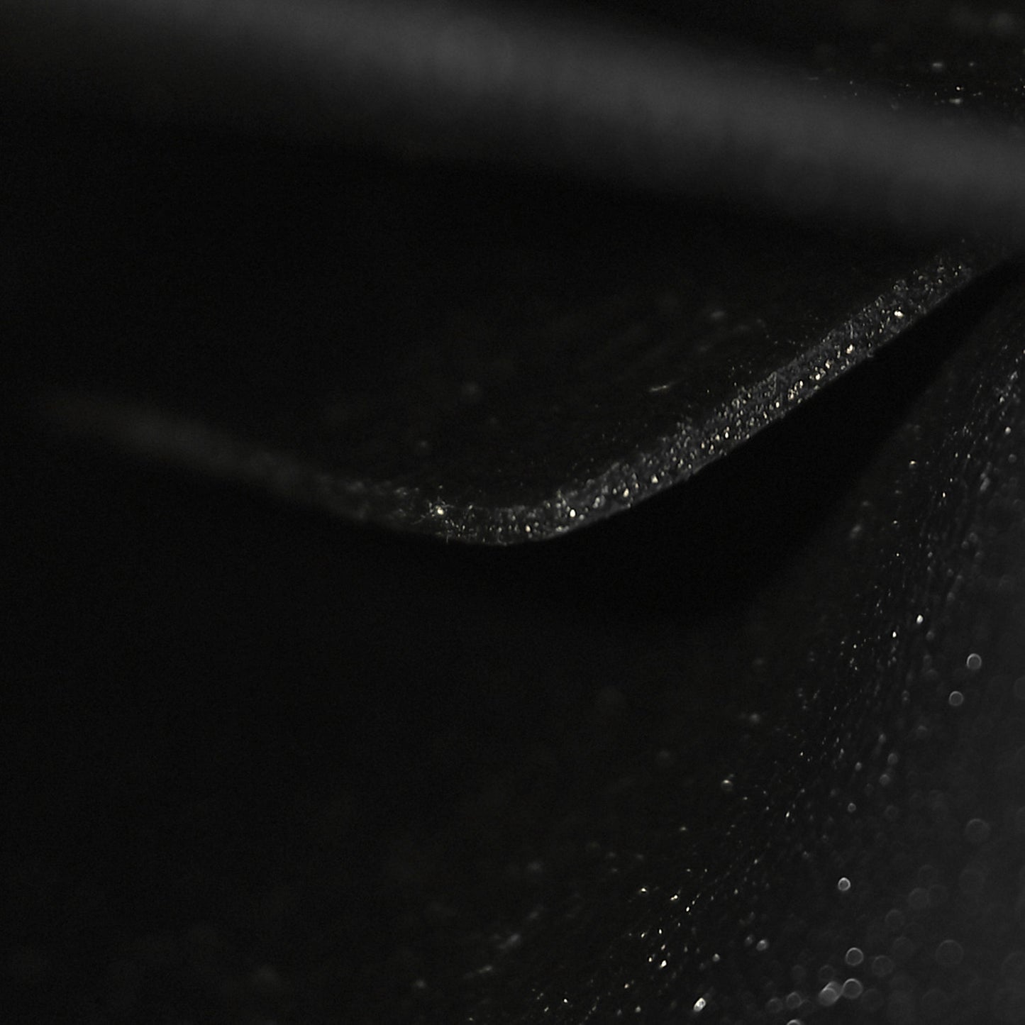 Shiny Calfskin Nano Triomphe Black