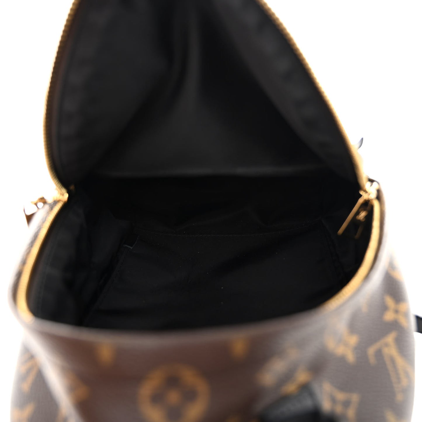 Monogram Palm Springs Backpack PM