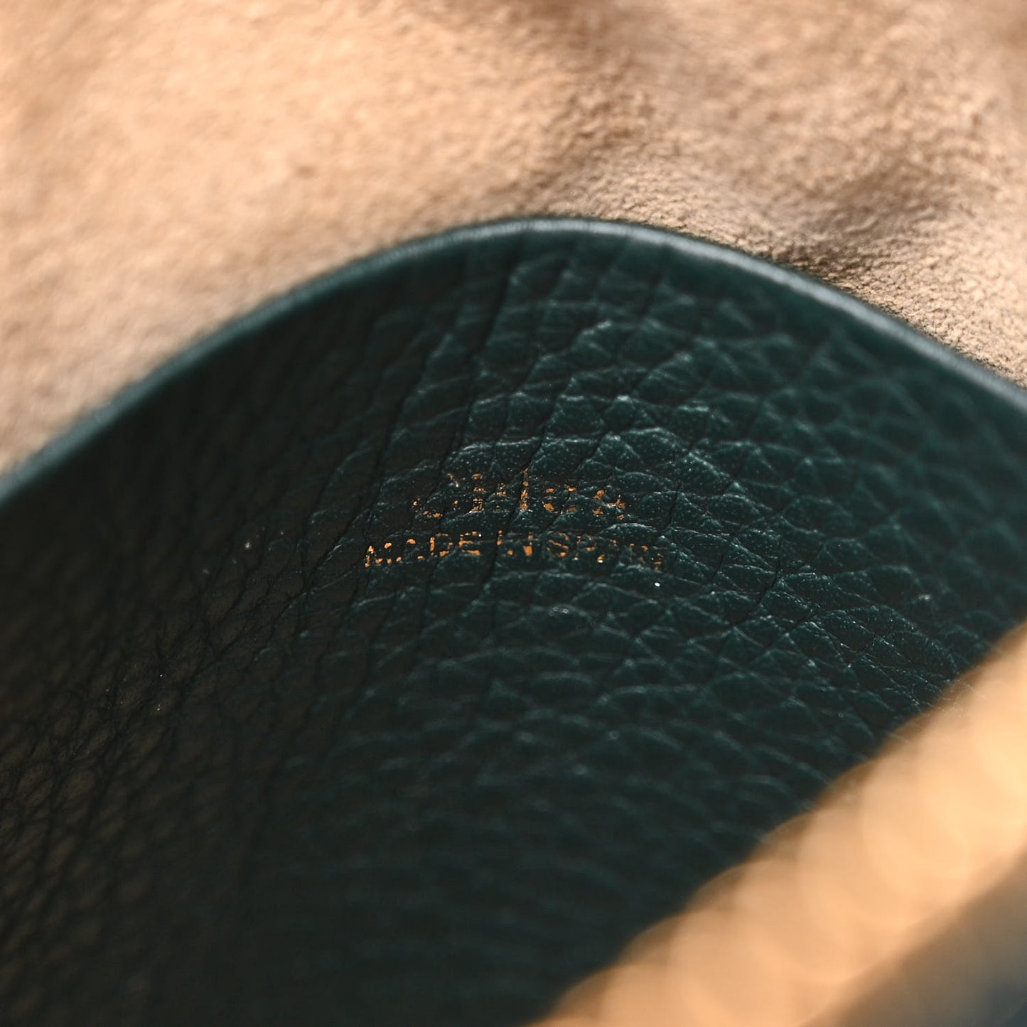 Grained Calfskin Nano Hayley Hobo Rainforest