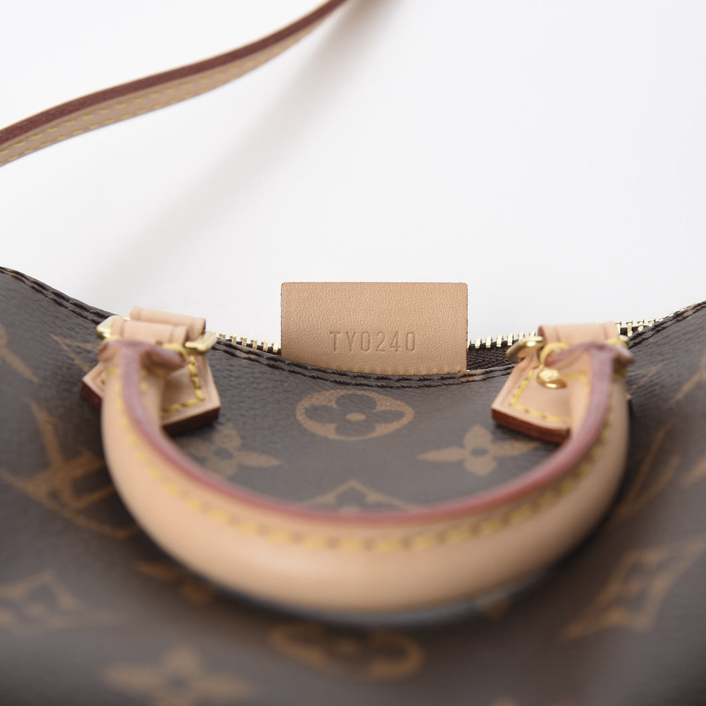 Monogram Nano Speedy