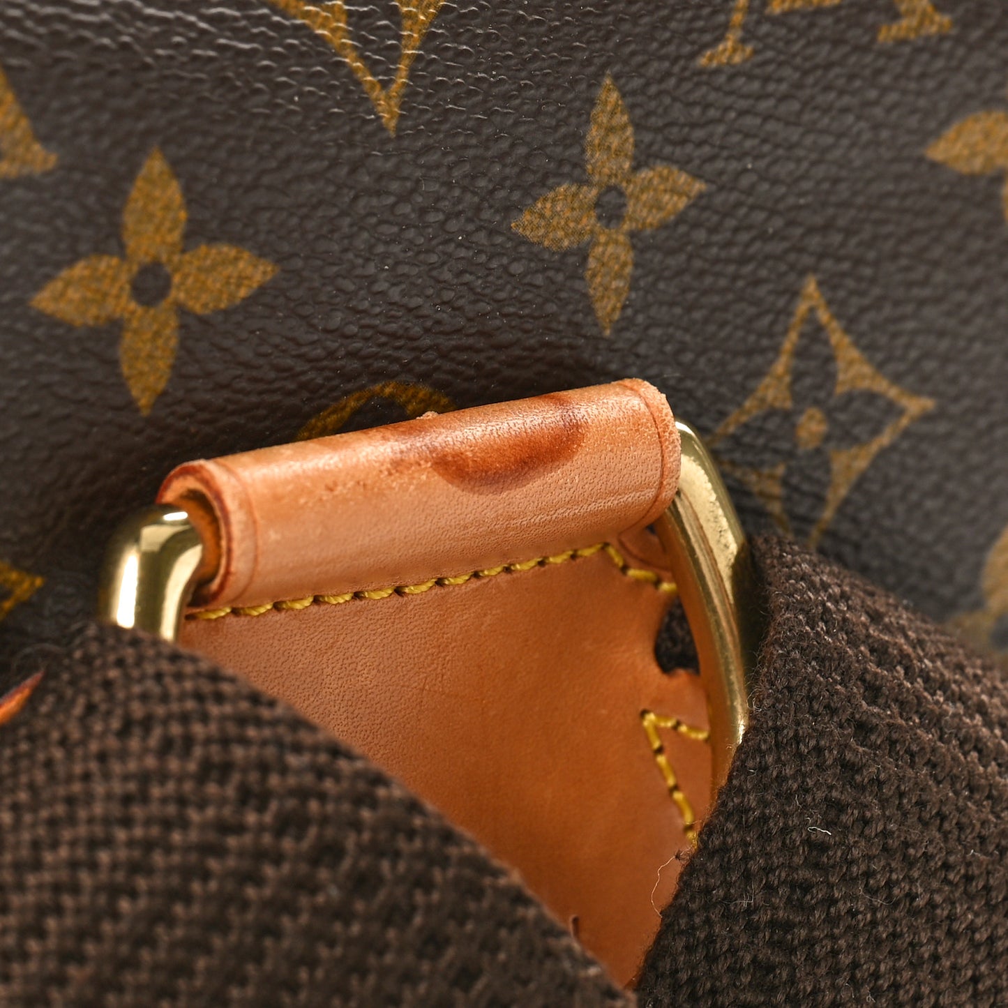 Monogram Montsouris GM Backpack