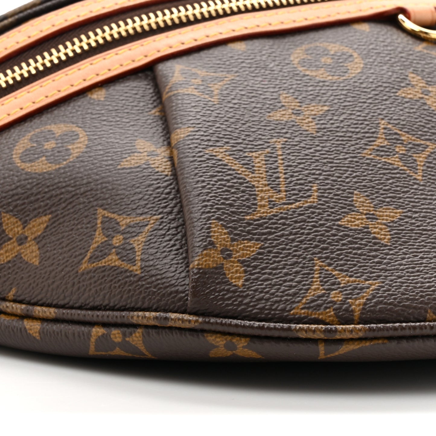 Monogram High Rise Bumbag