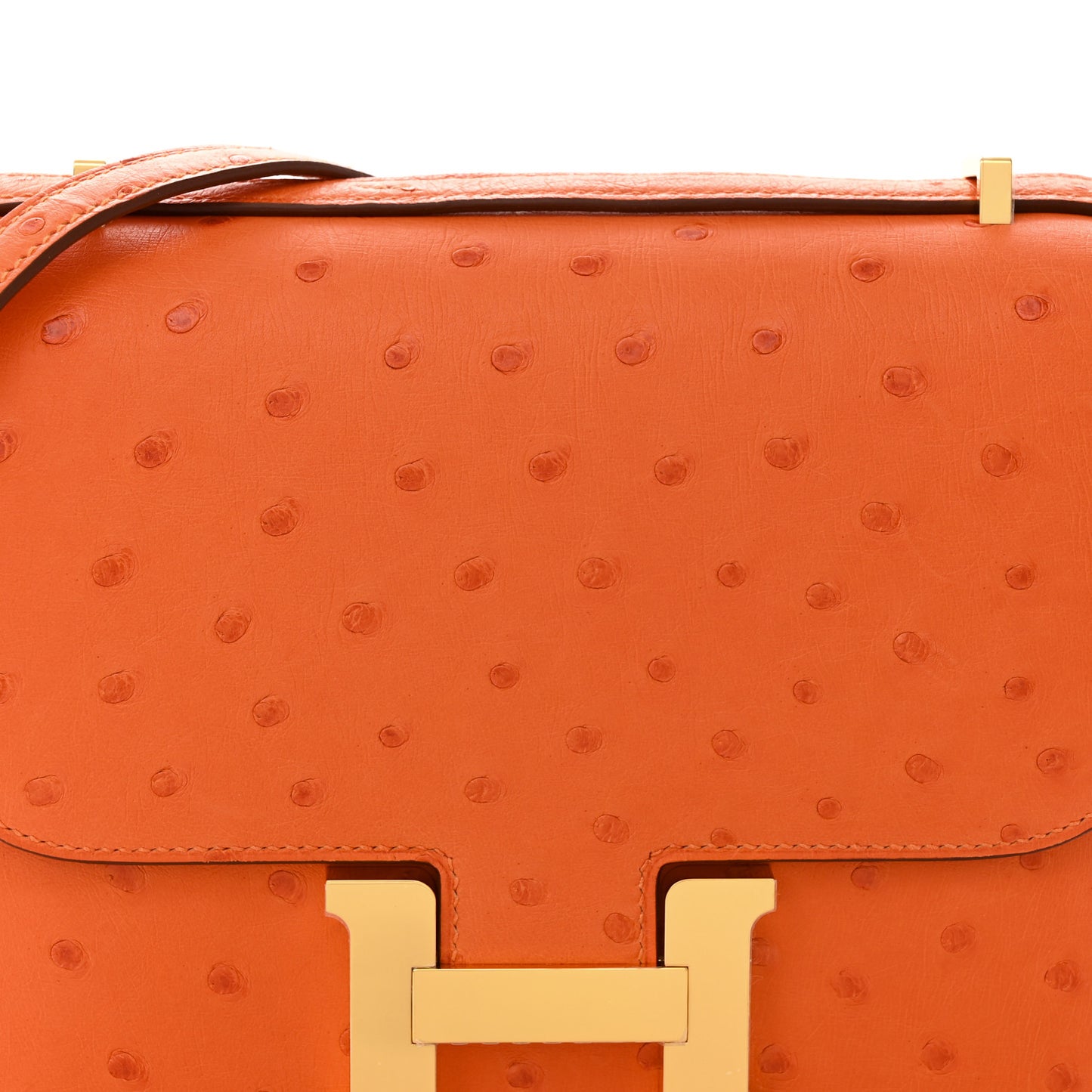Ostrich Constance 18 Tangerine