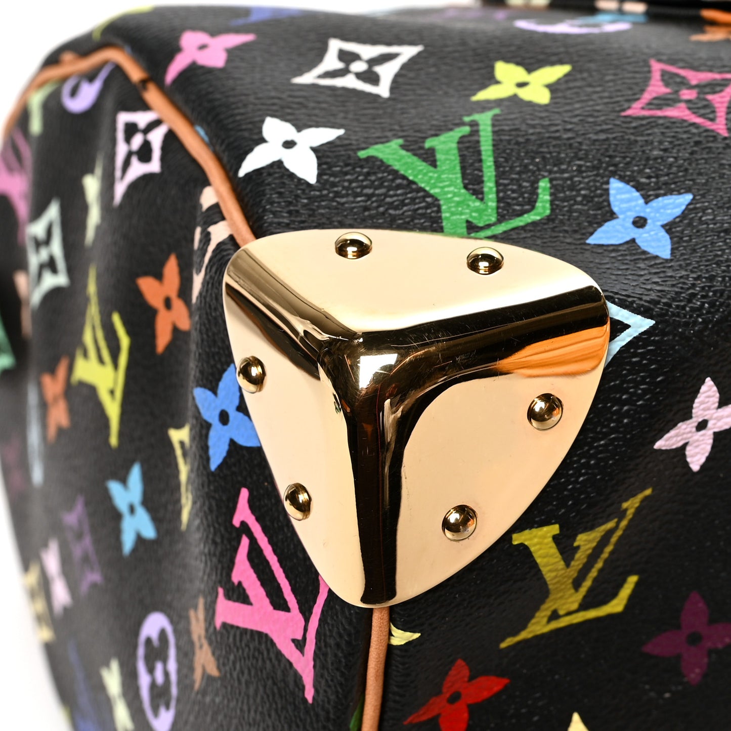 Monogram Multicolor Speedy 30 Black