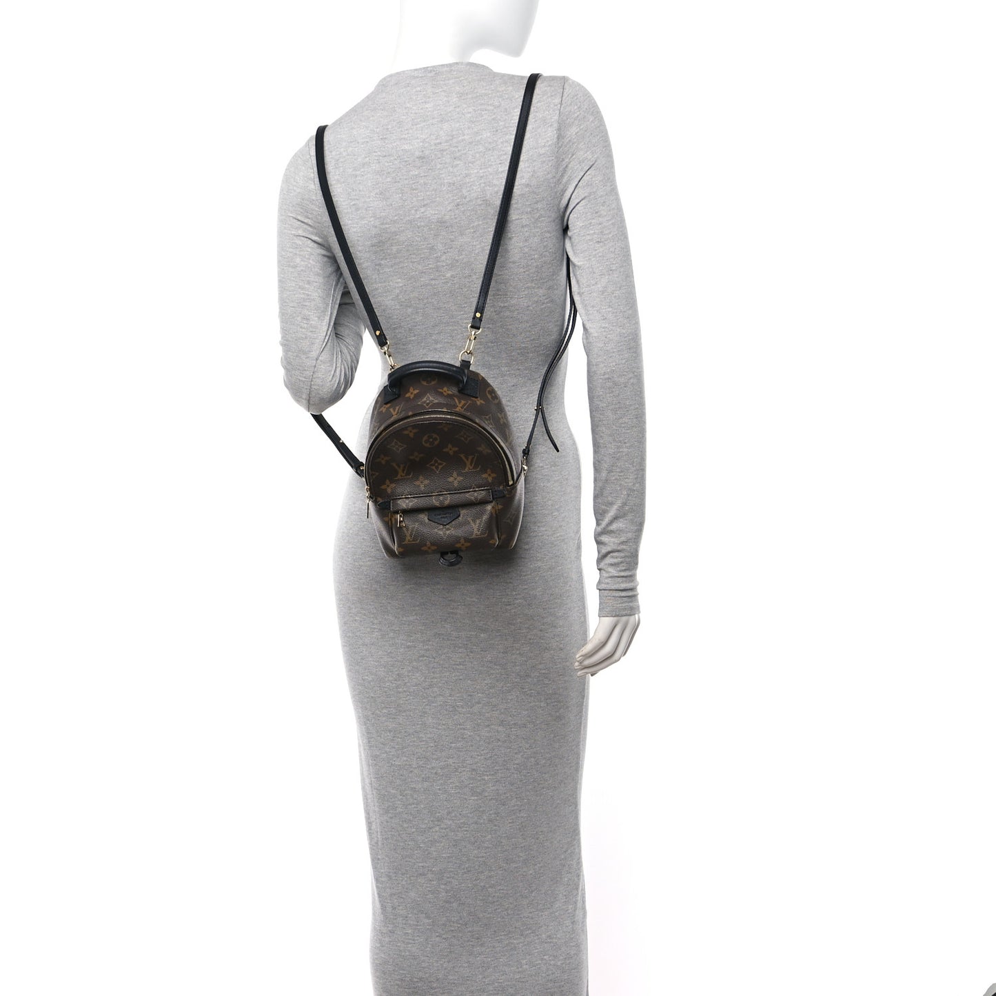 Monogram Palm Springs Backpack Mini