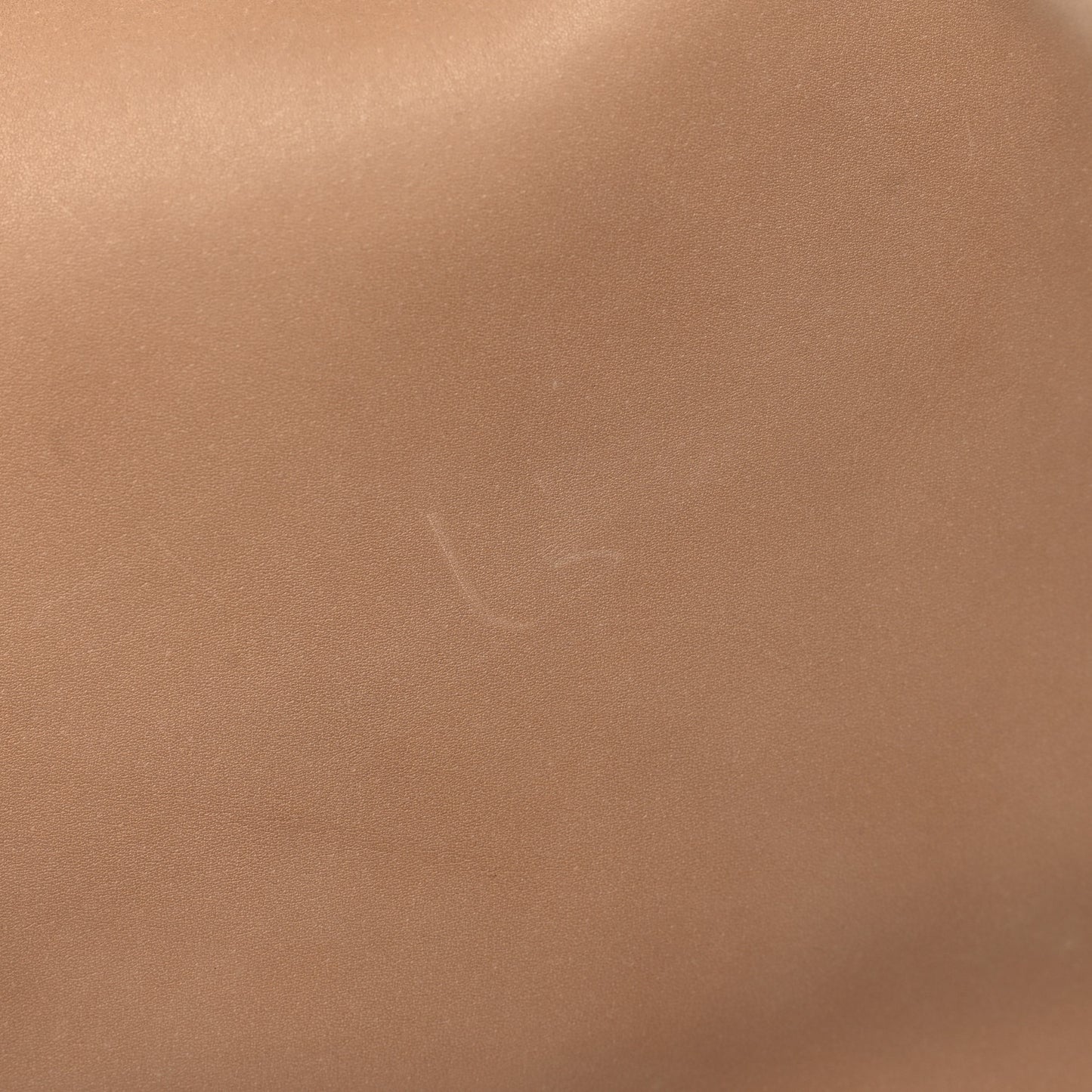 Smooth Calfskin Paris VII Large Flat Hobo Biscuit Beige