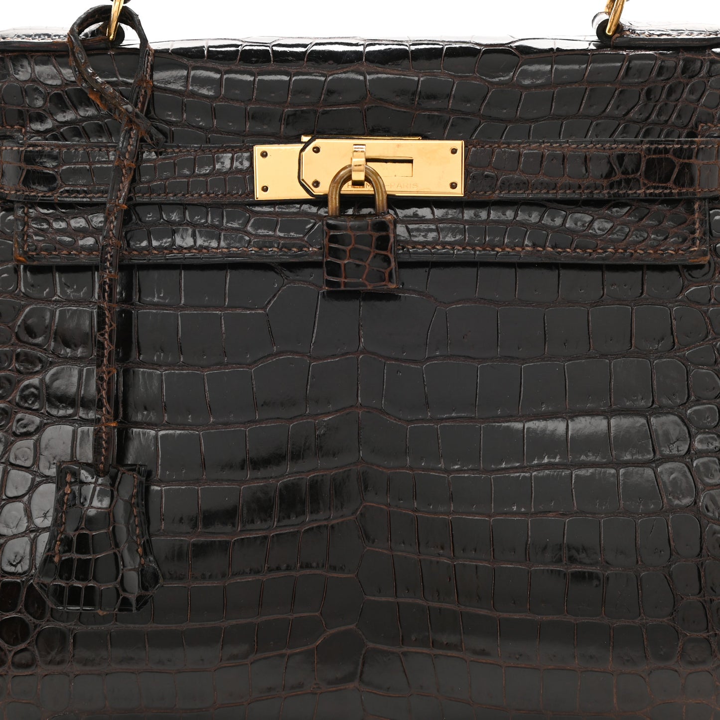 Shiny Porosus Crocodile Kelly Sellier 28