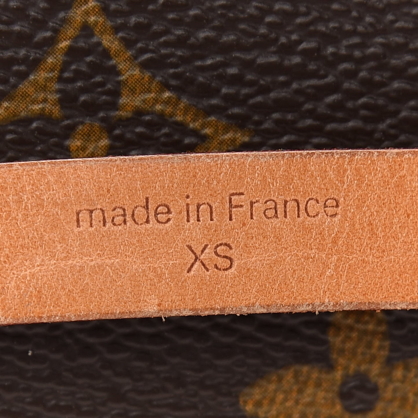 Monogram Pochette Florentine XS