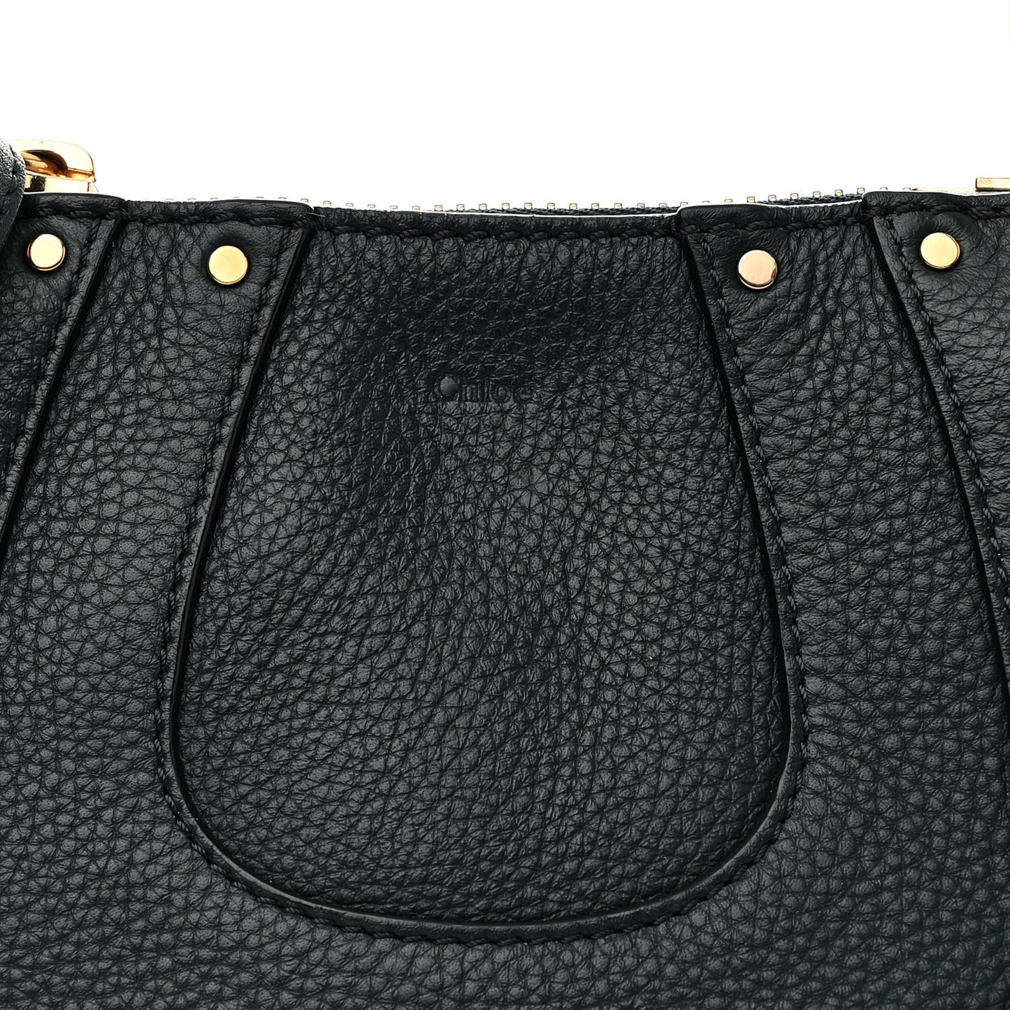 Grained Calfskin Nano Hayley Hobo Rainforest