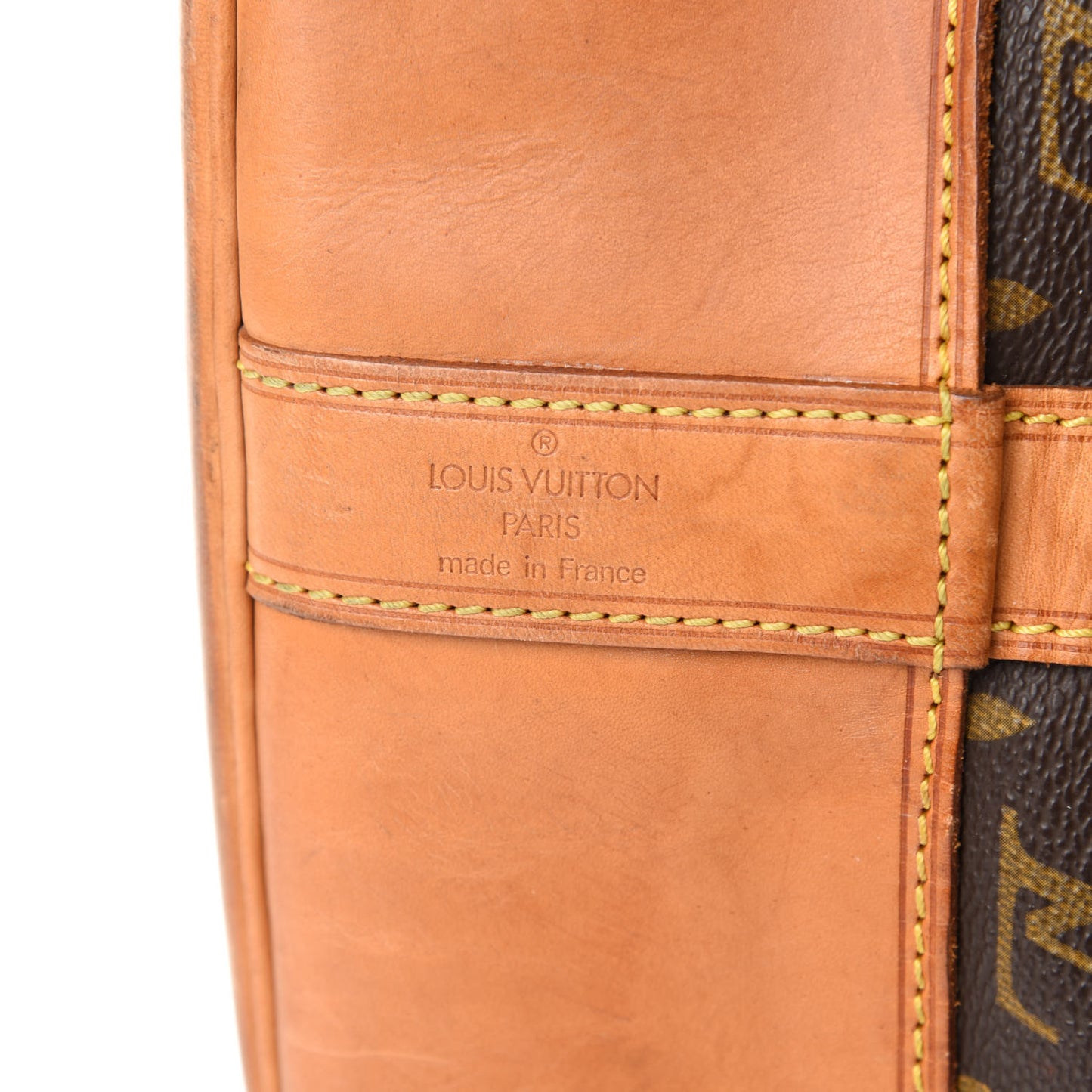 Monogram Randonnee GM Backpack