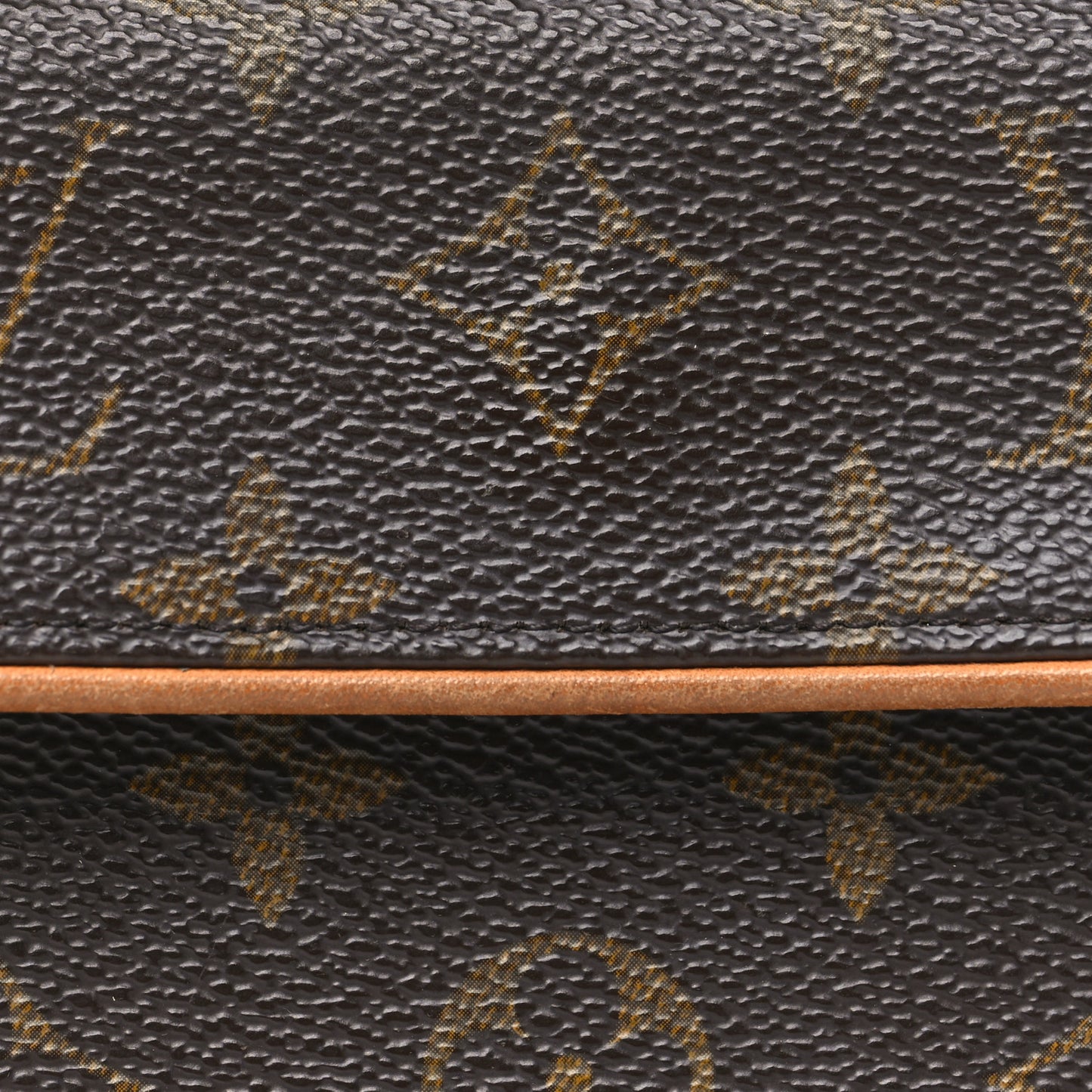 Monogram Pochette Florentine S