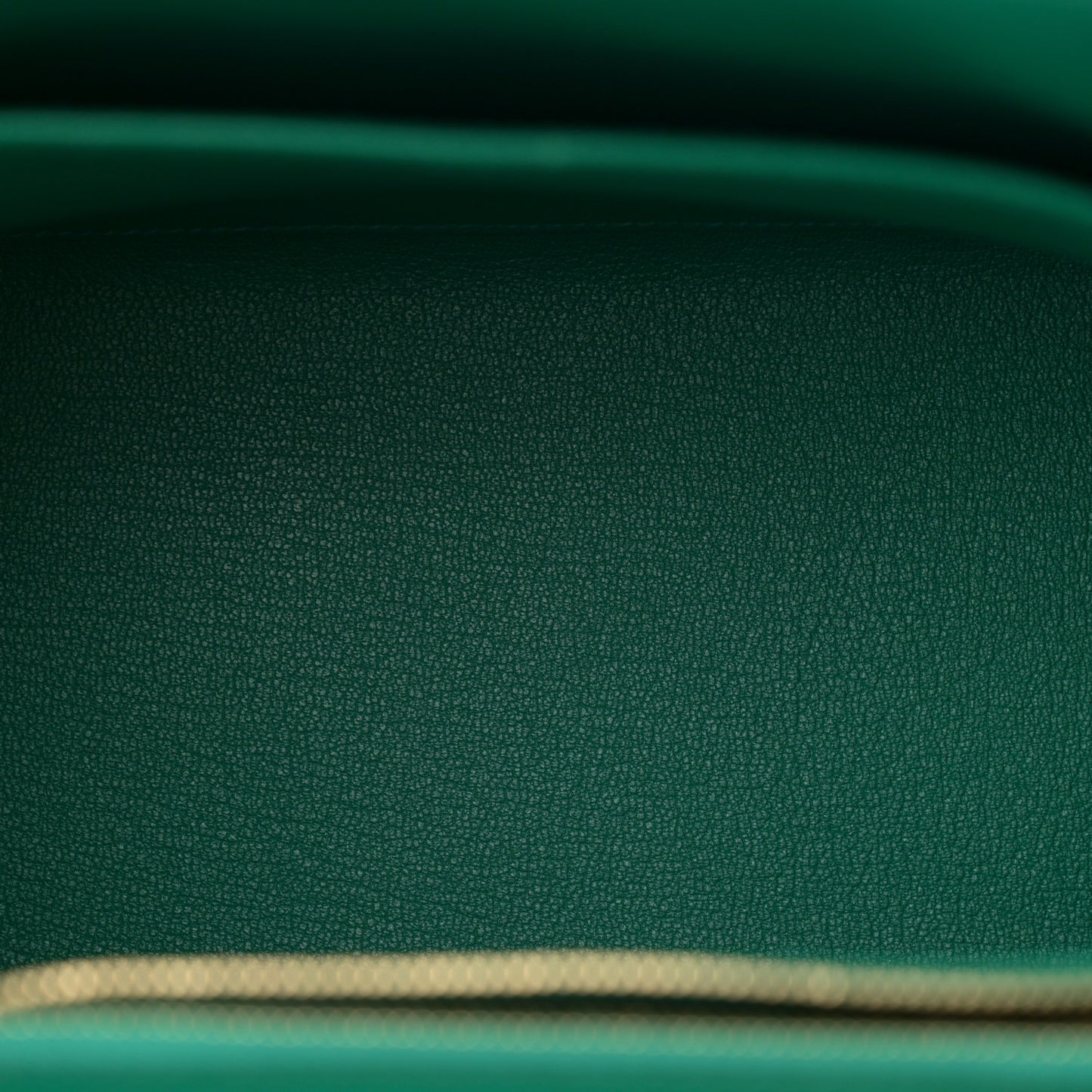Epsom Kelly Sellier 25 Vert Vertigo
