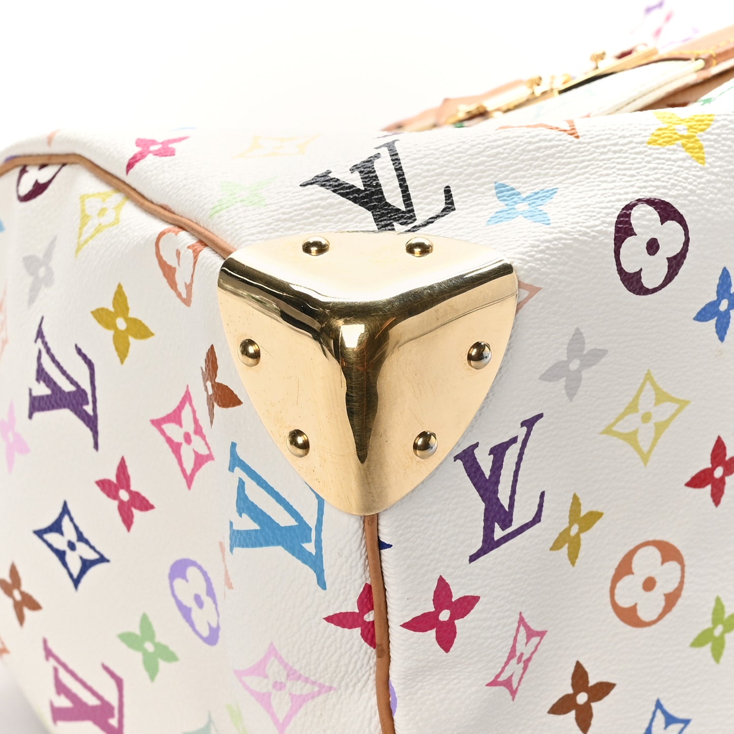 Monogram Multicolor Speedy 30 White