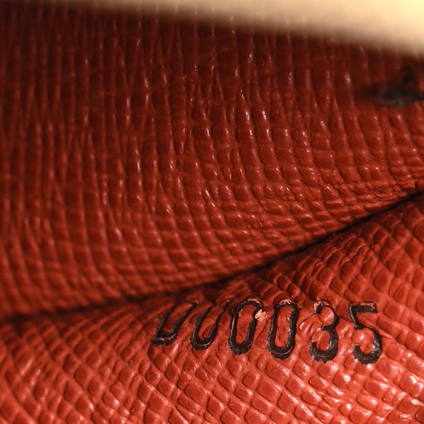 Damier Ebene Papillon 26