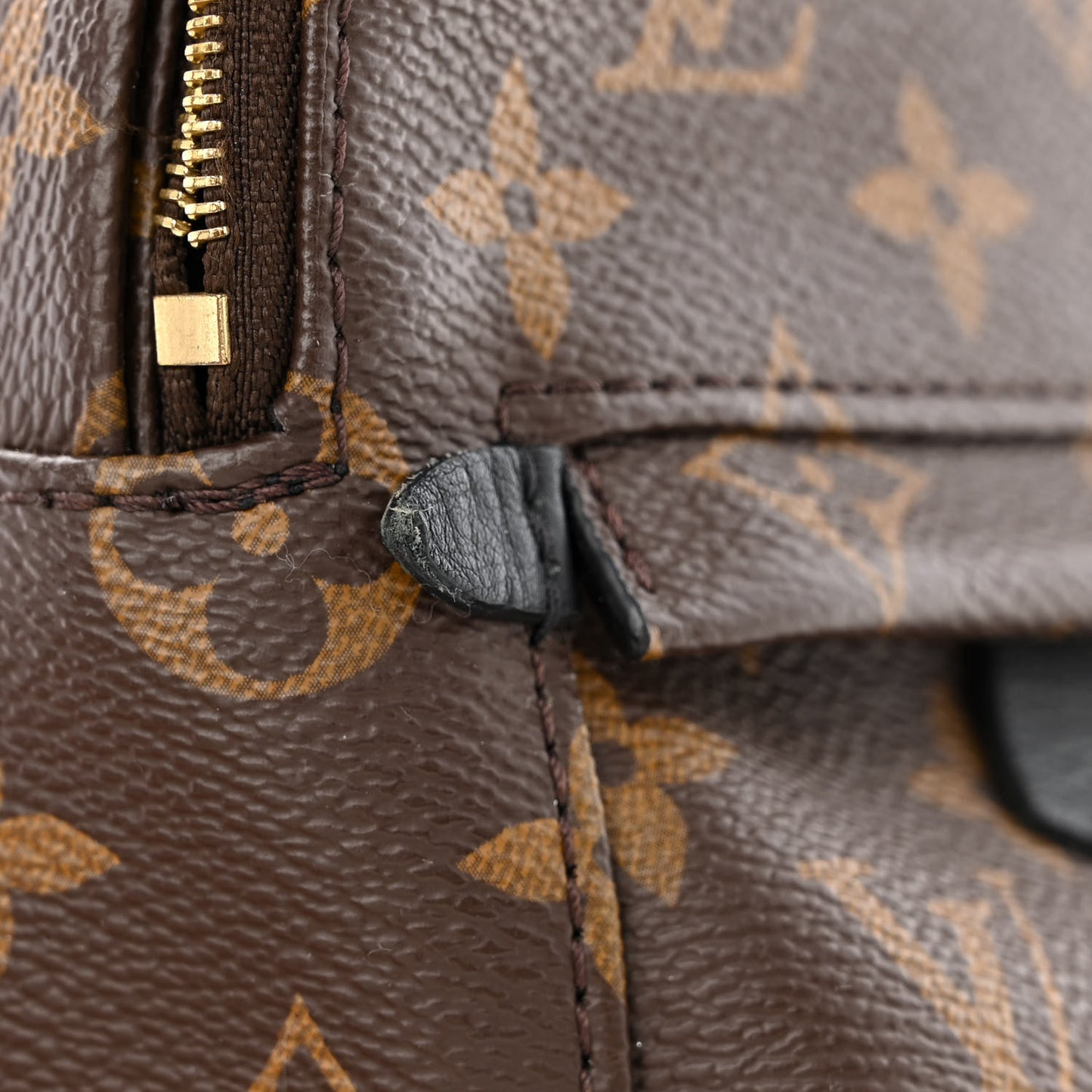 Monogram Palm Springs Backpack Mini