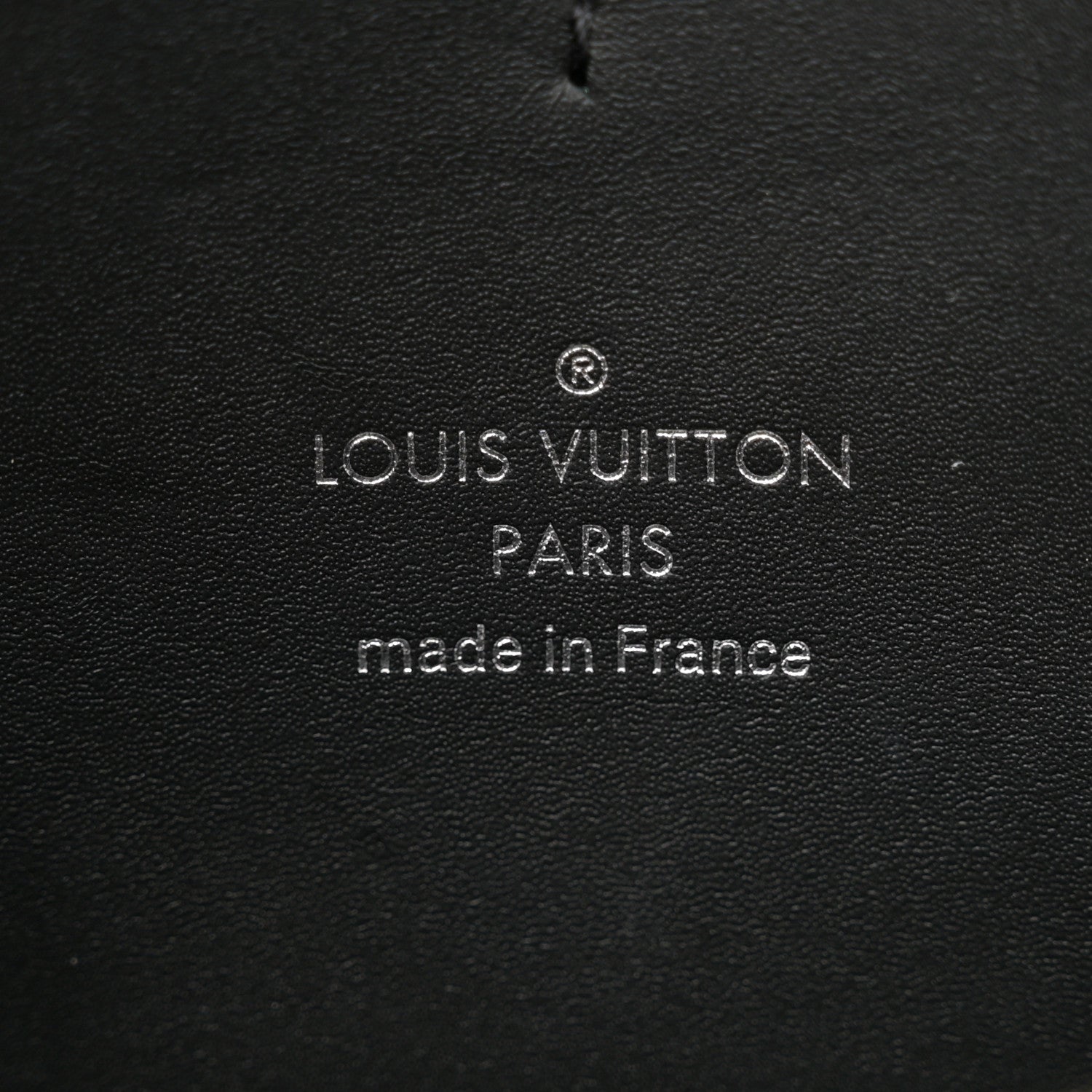 Louis Vuitton Reverse Monogram Giant Dauphine Bumbag 6 of 11
