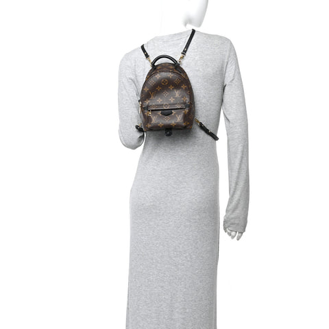 Monogram Palm Springs Backpack Mini