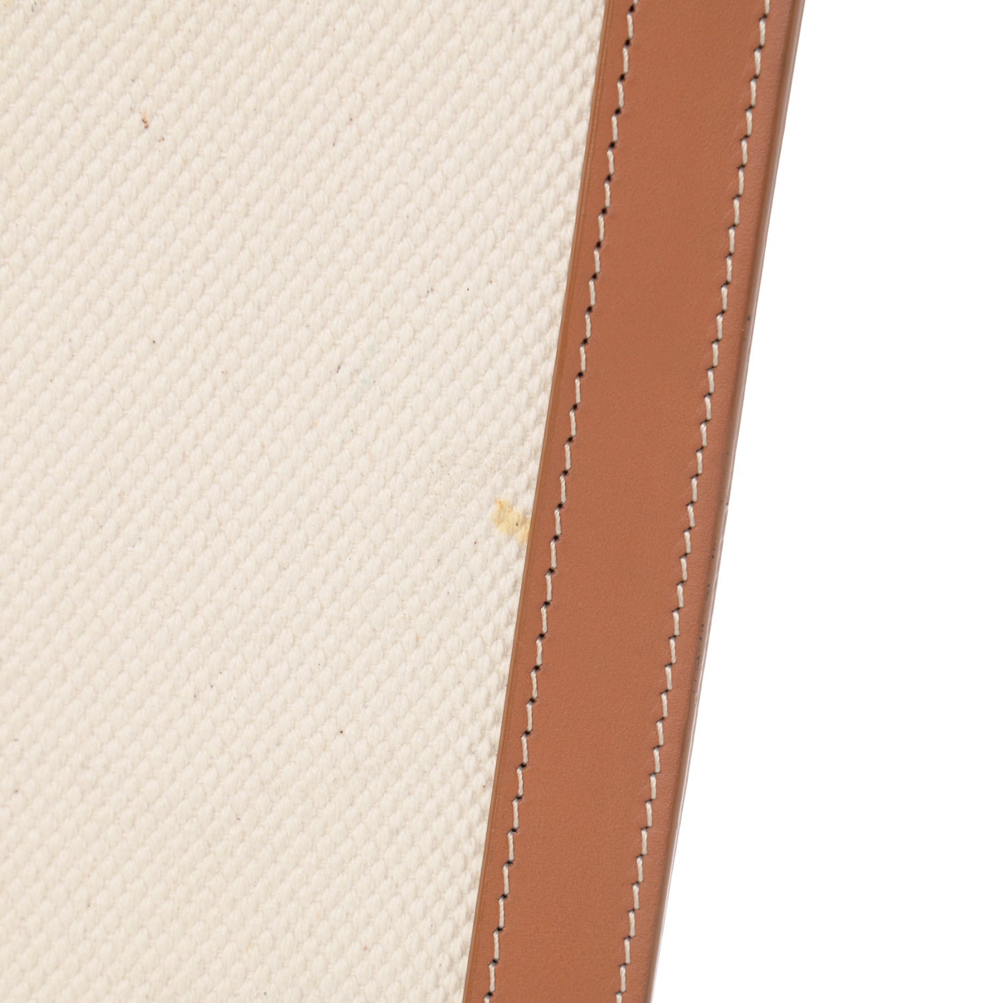 Canvas Calfskin Logo Print Small Vertical Cabas Natural Tan