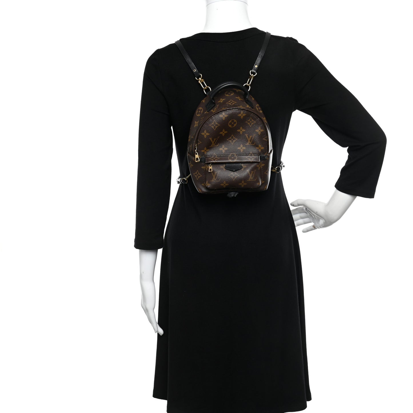 Monogram Palm Springs Backpack Mini
