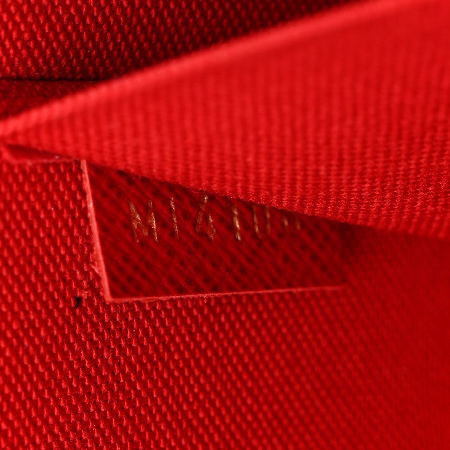 Monogram World Tour Pochette Felicie