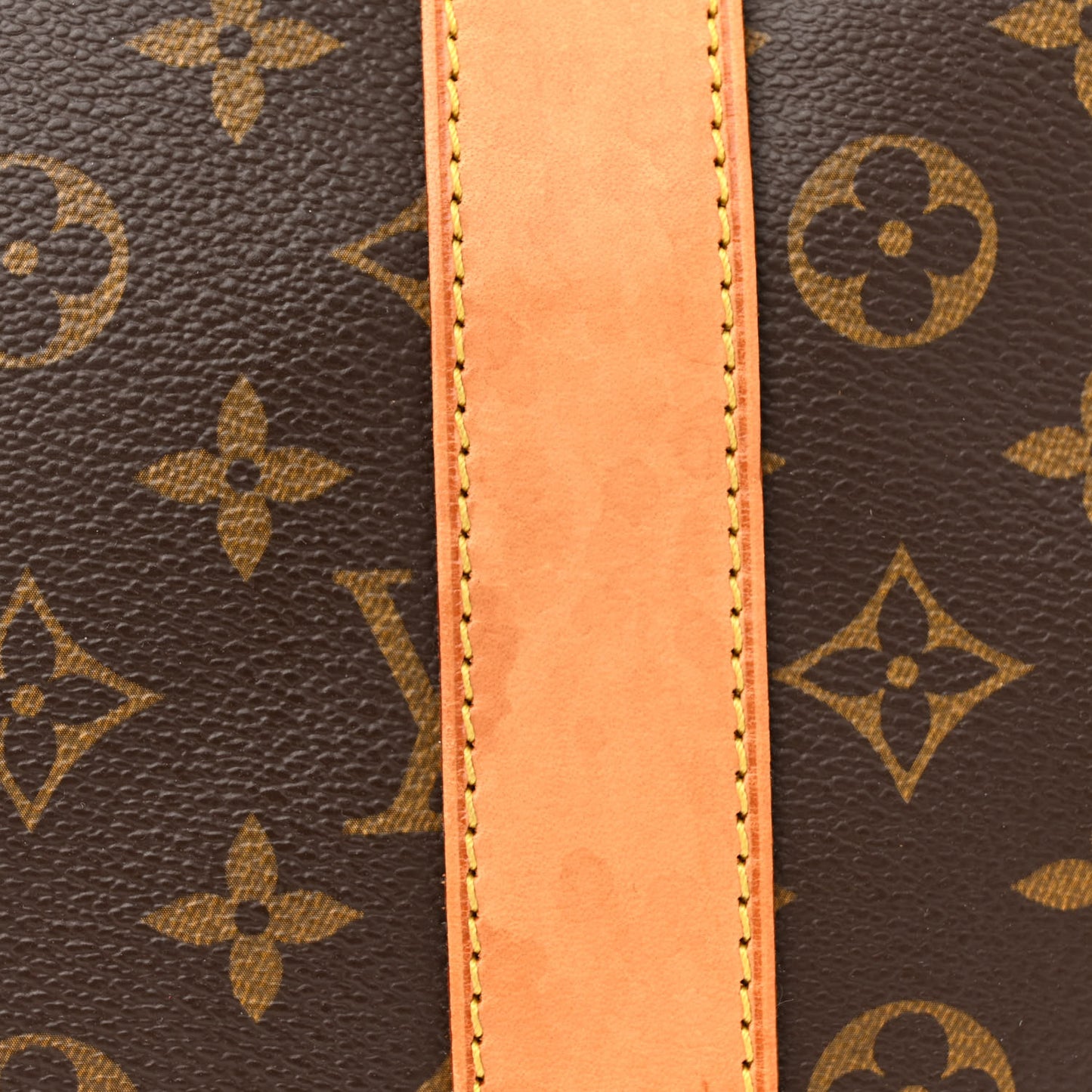 Monogram Carryall
