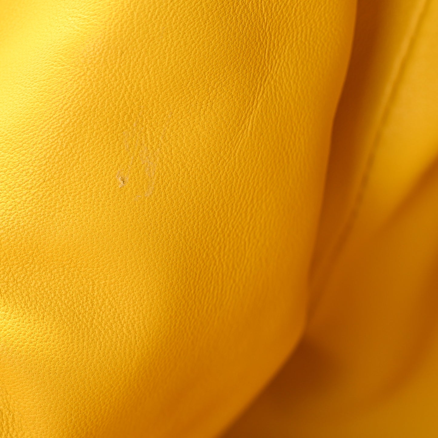 Crocodile The Pouch 20 Yellow