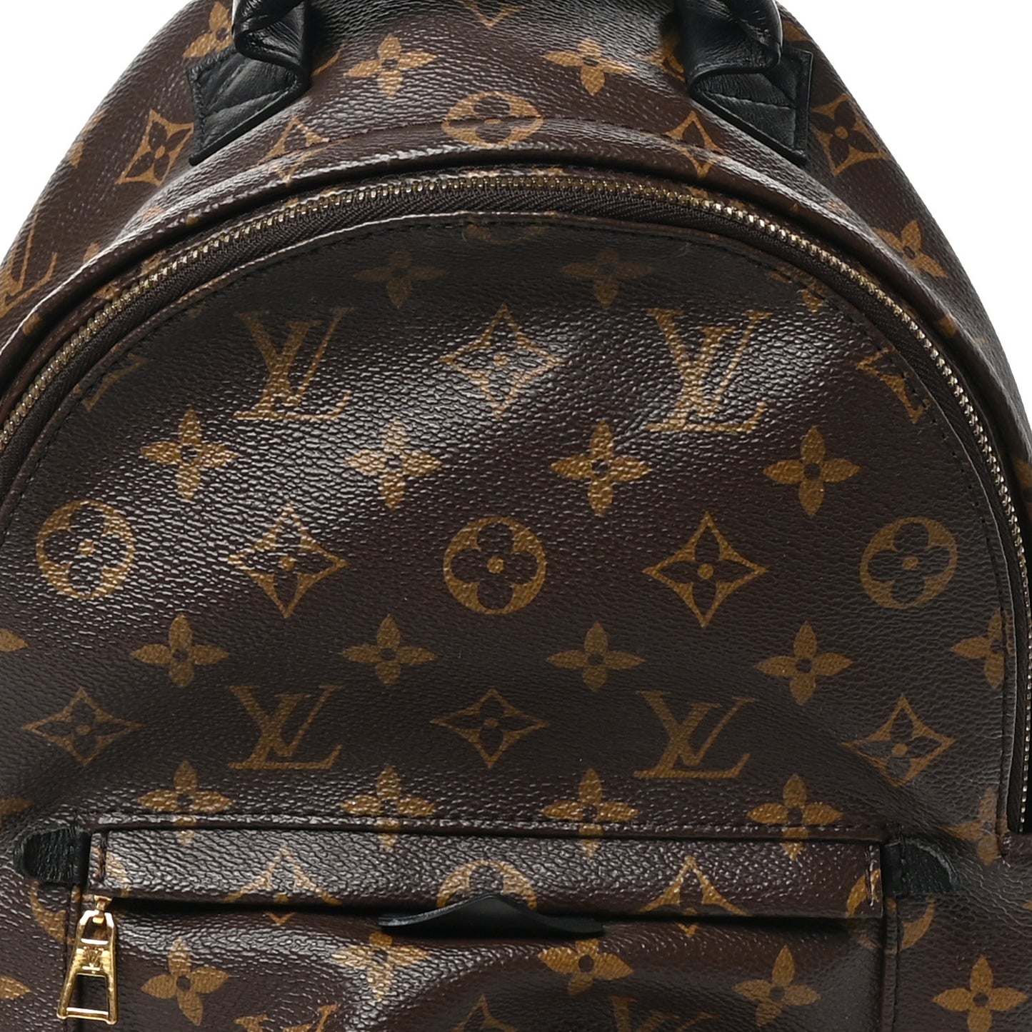 Monogram Palm Springs Backpack PM