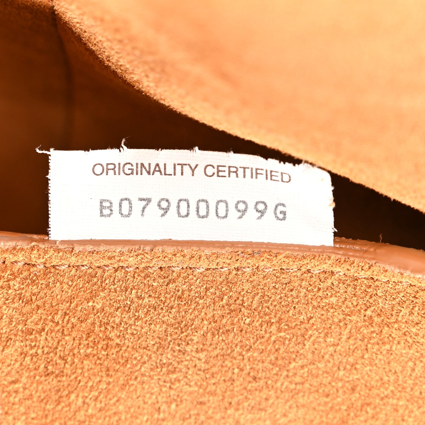 French Calfskin Maxi Intrecciato XL Arco Fondant