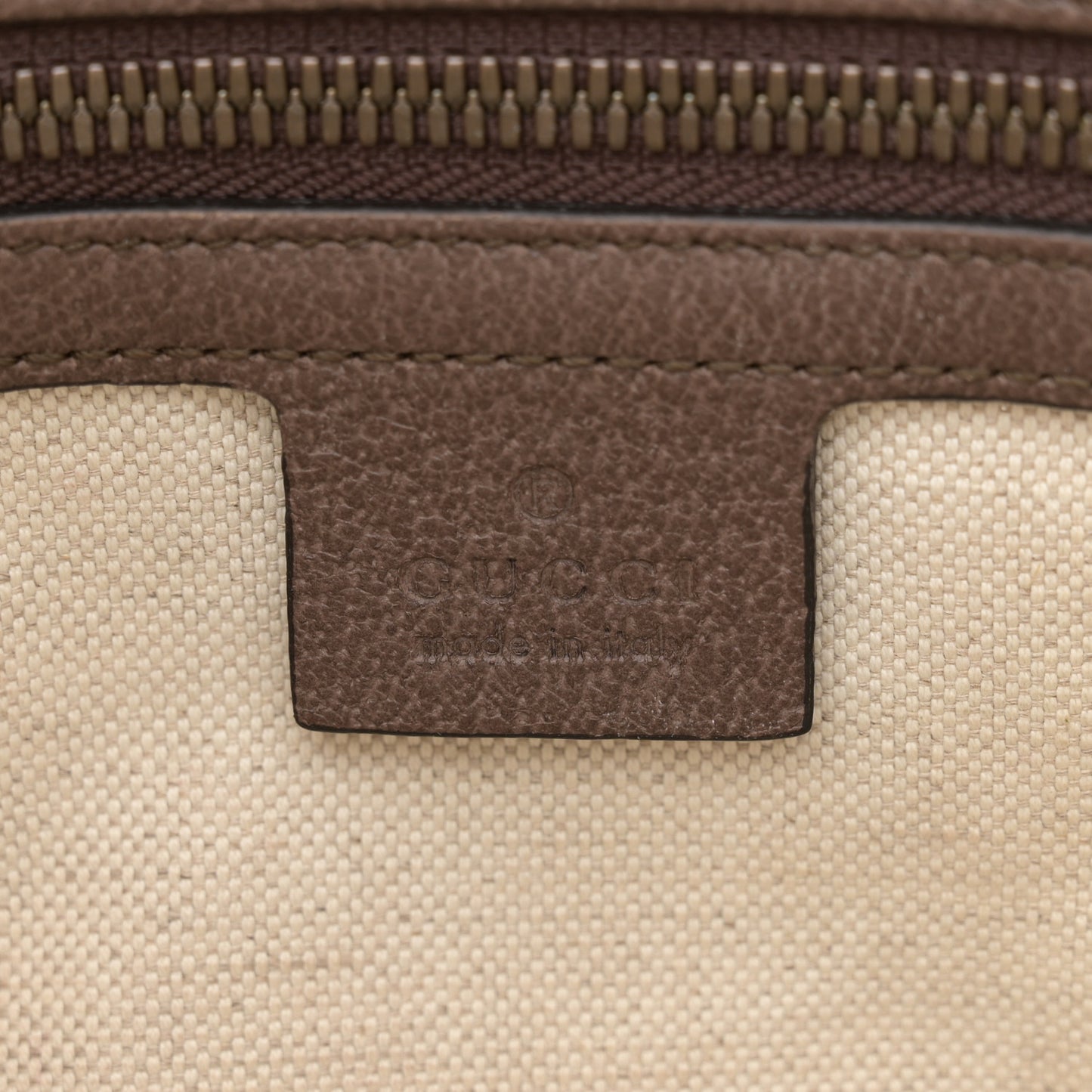 GG Supreme Monogram Web Small Ophidia Half Moon Hobo Brown