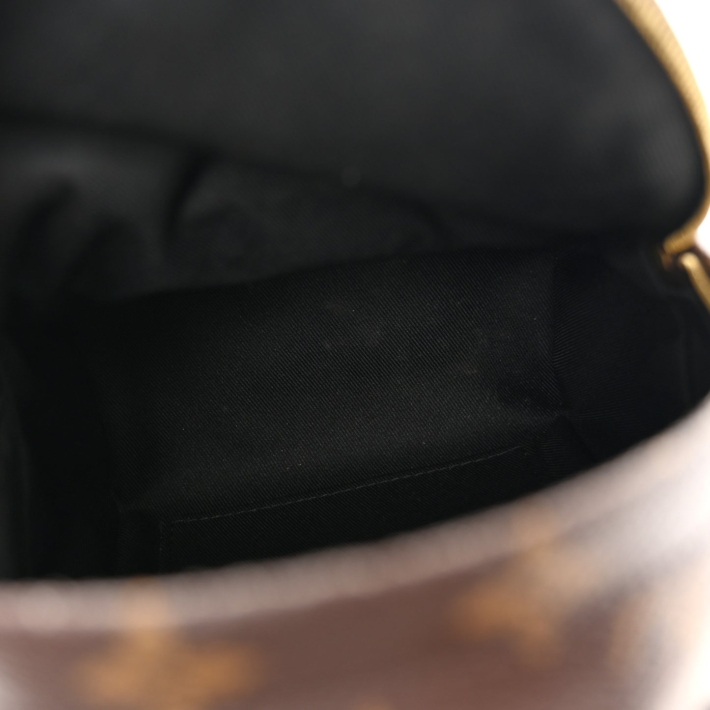 Monogram Palm Springs Backpack Mini