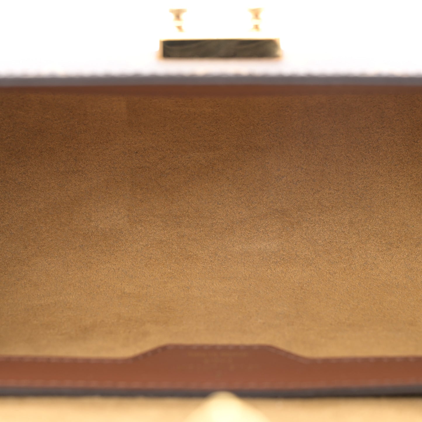 Monogram Papillon Trunk