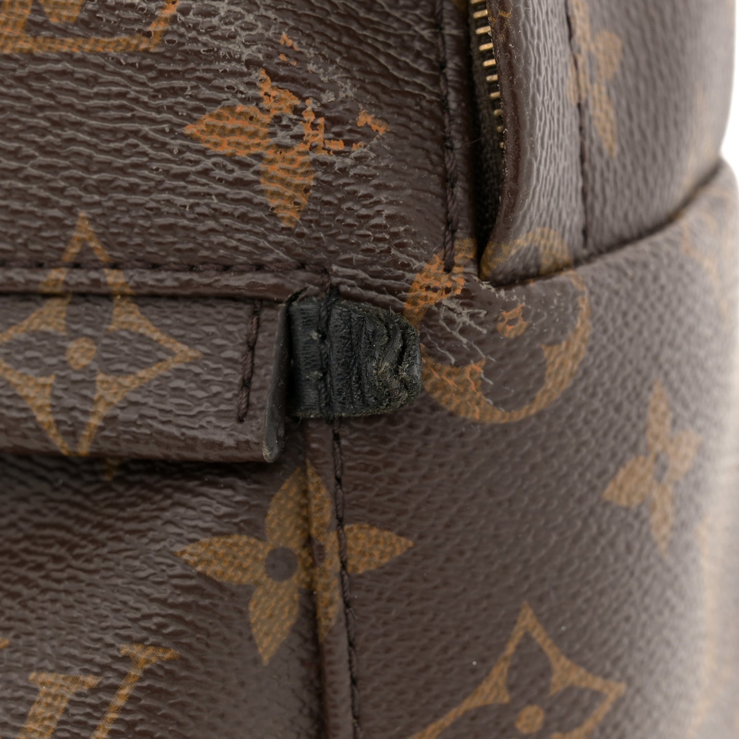 Monogram Palm Springs Backpack Mini