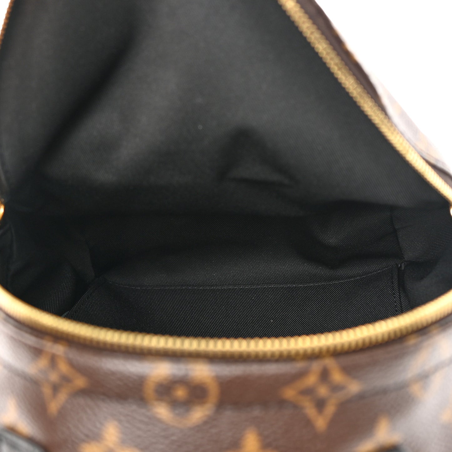 Monogram Palm Springs Backpack PM