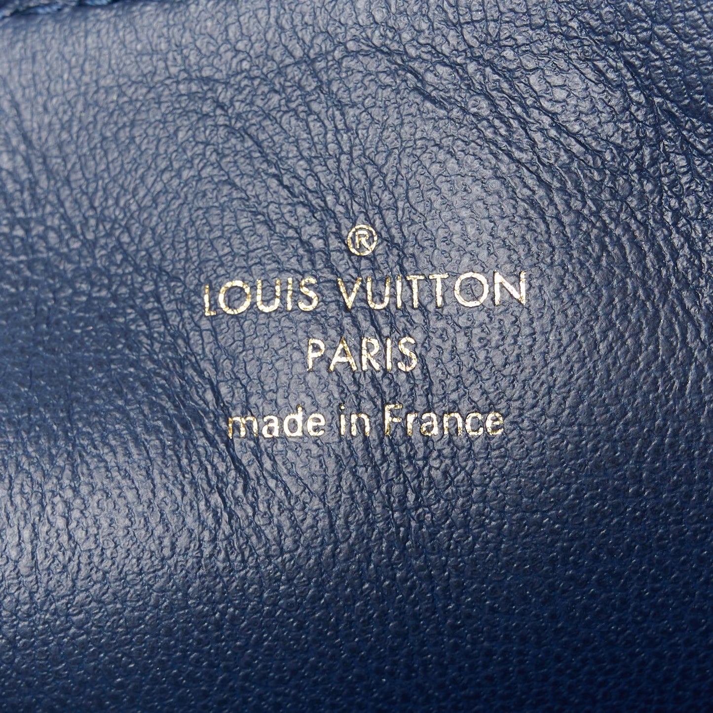 Lambskin Printed Monoglam Coussin PM Blue