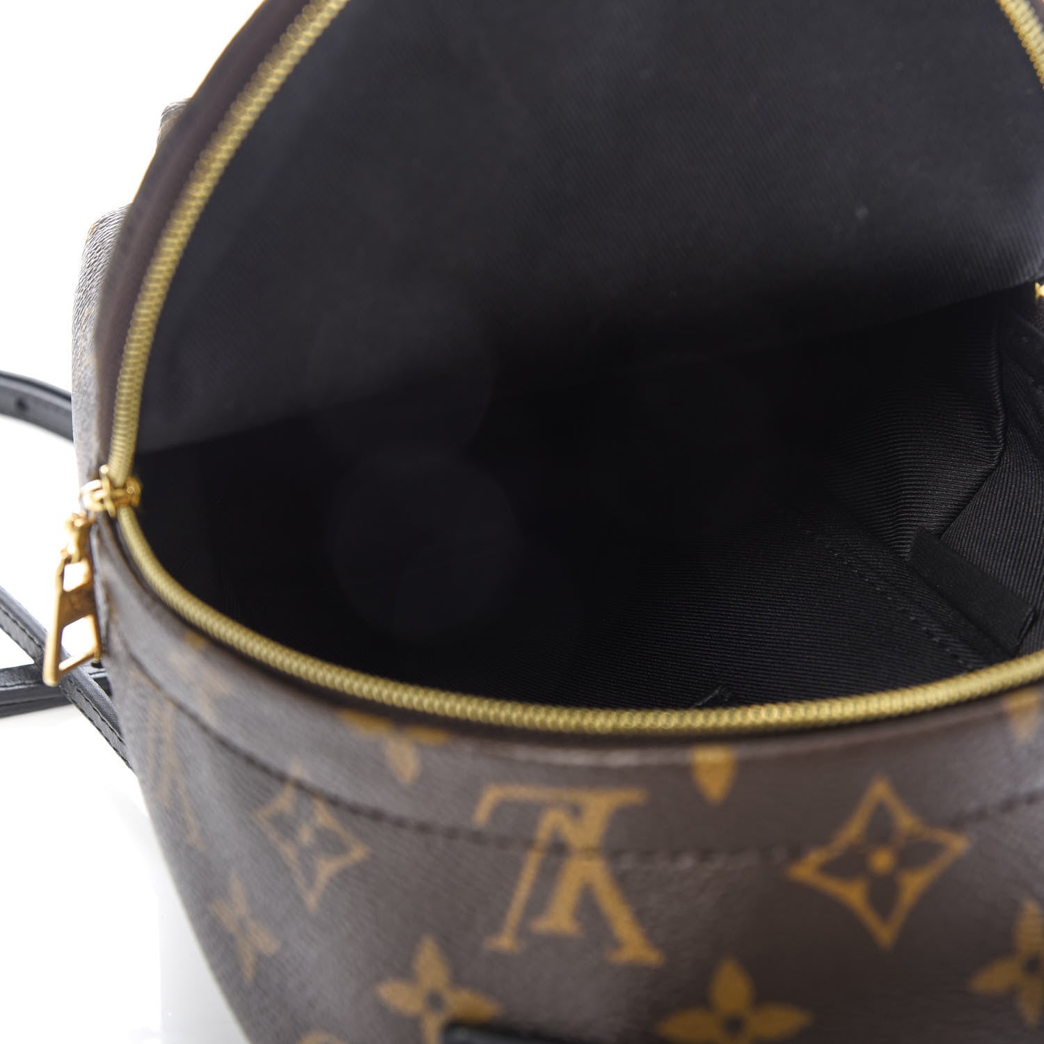 Louis Vuitton Monogram Palm Springs Backpack Mini 5 of 12
