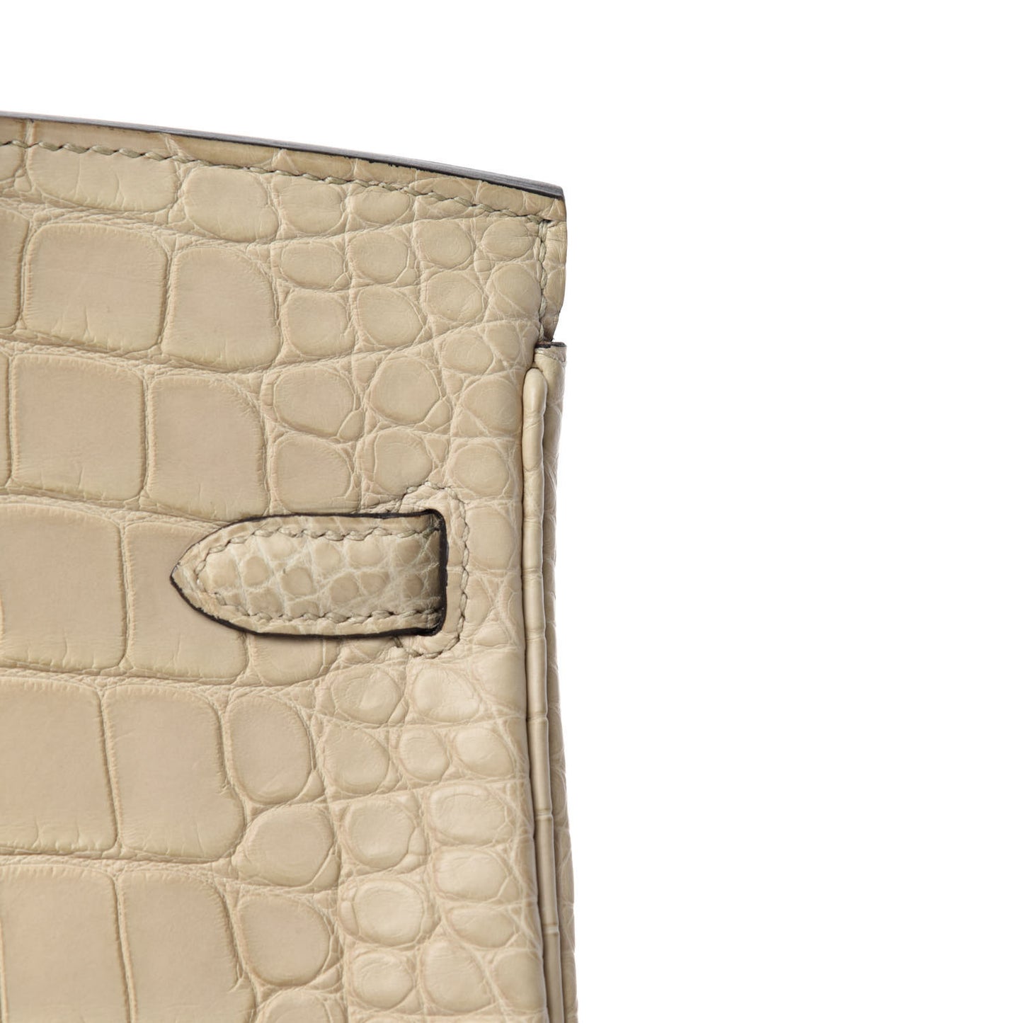 Matte Alligator Birkin 25 Trench