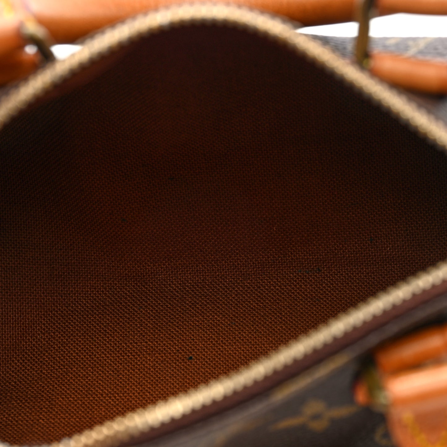 Monogram Mini Sac HL Speedy