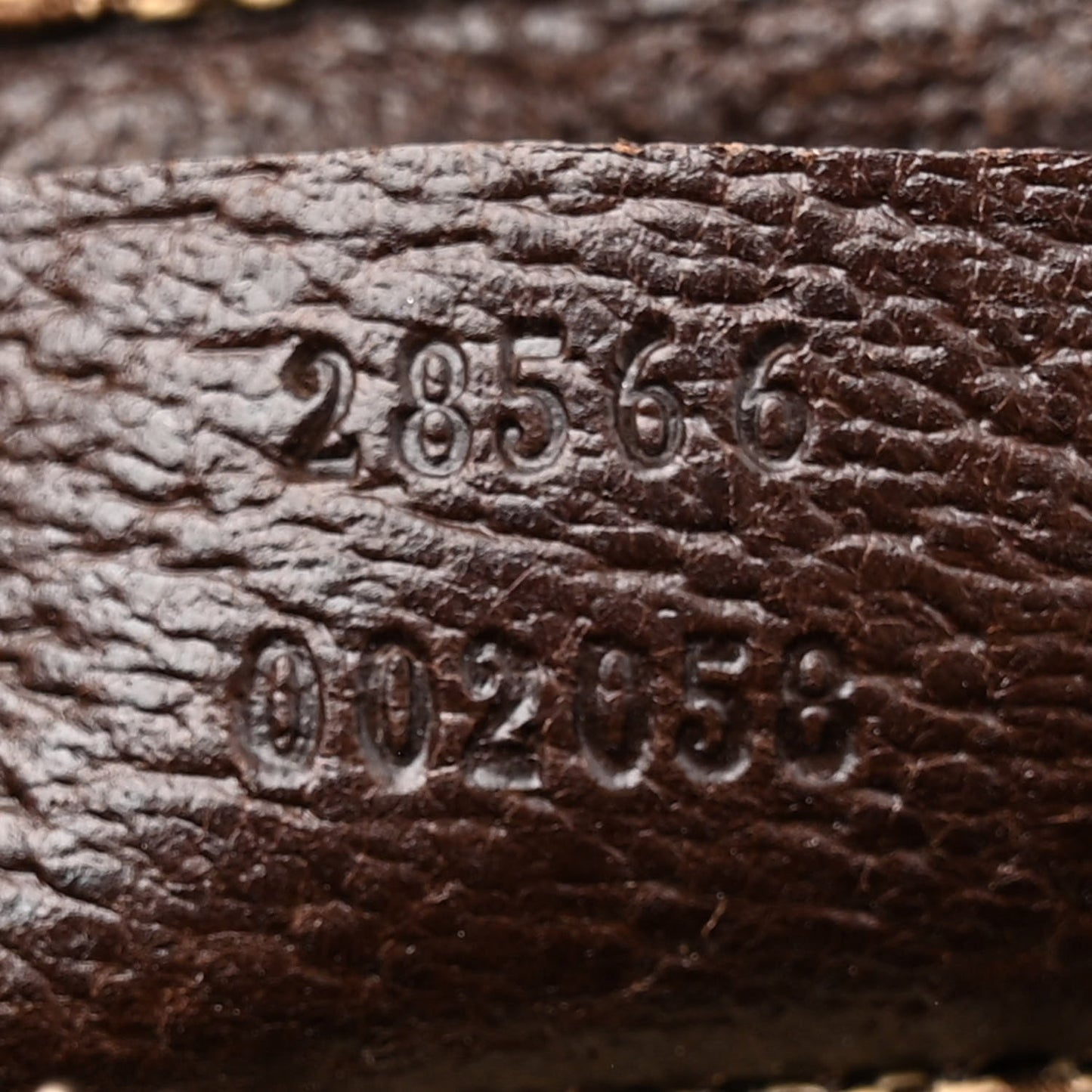 GG Monogram Double Pocket Belt Bag Dark Brown