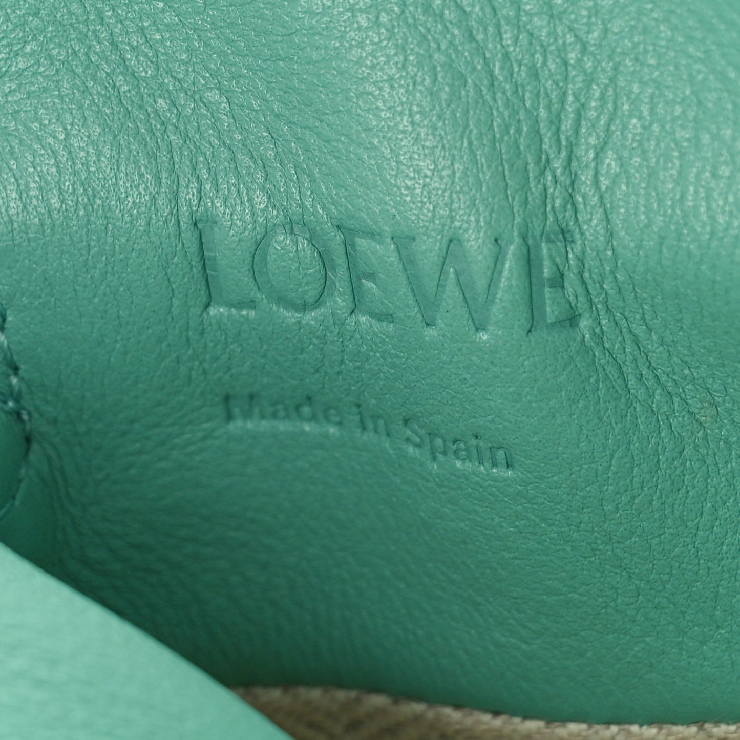 Calfskin Mini Drawstring Flamenco Knot Crossbody Bag Fresh Mint