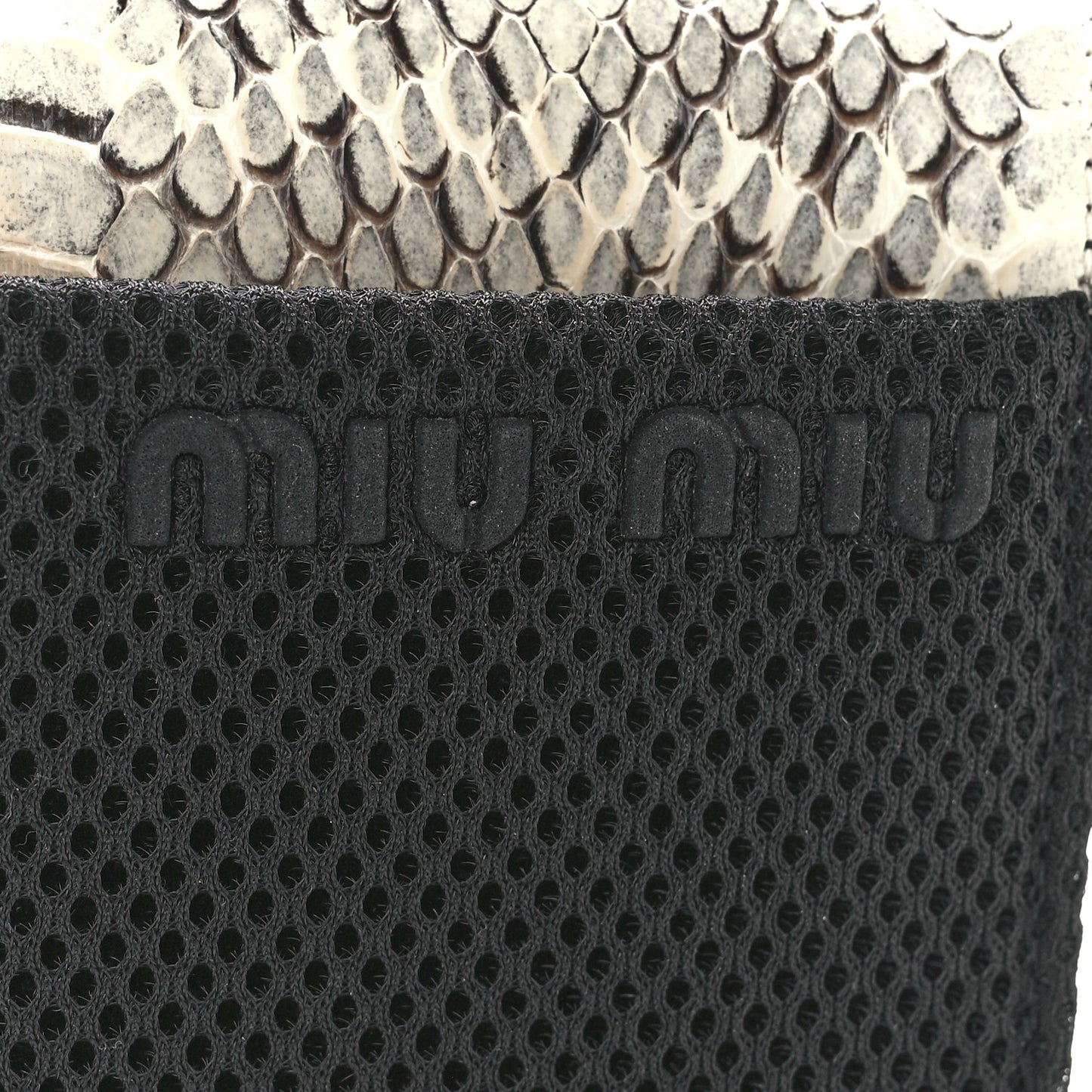 Snakeskin Crossbody