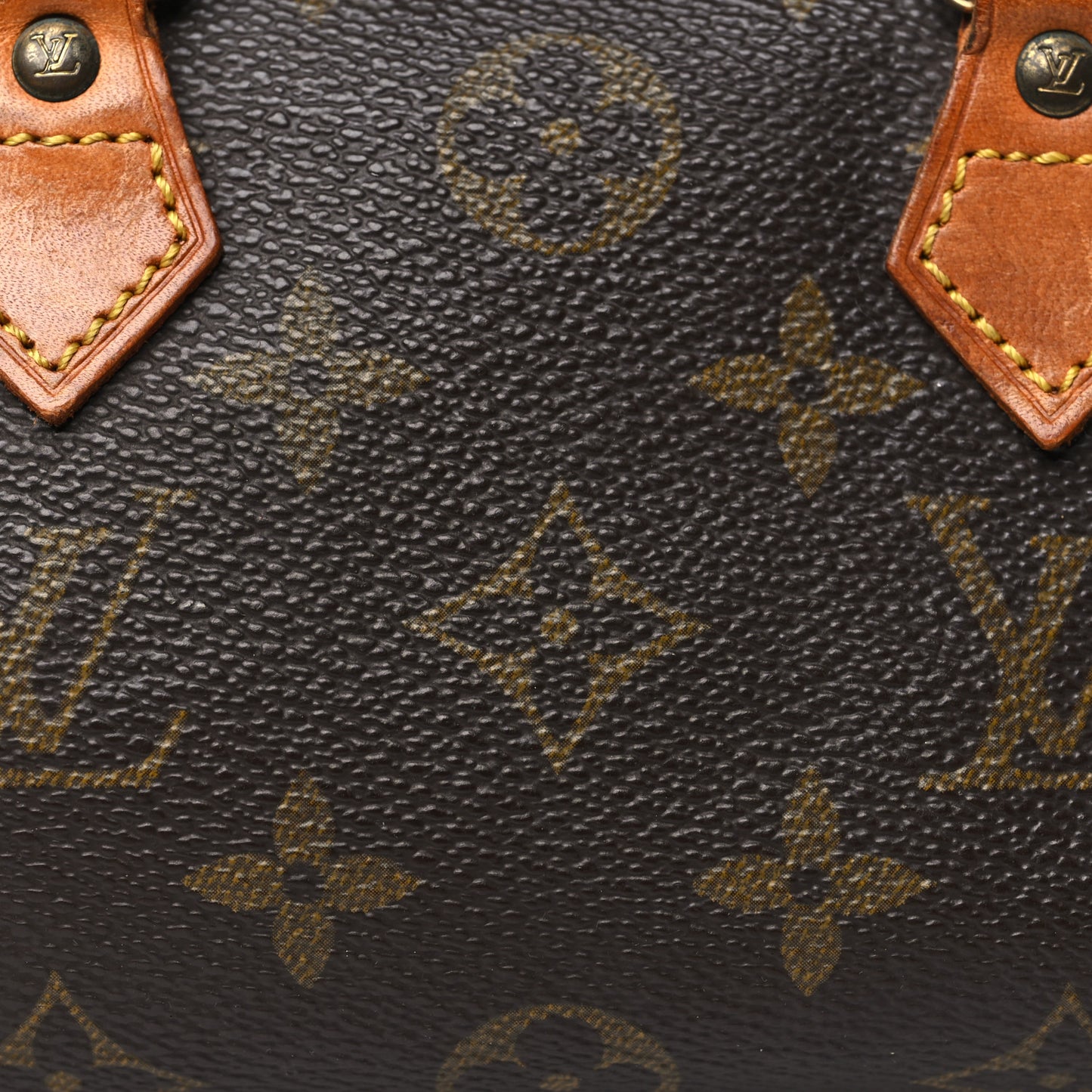 Monogram Mini Sac HL Speedy