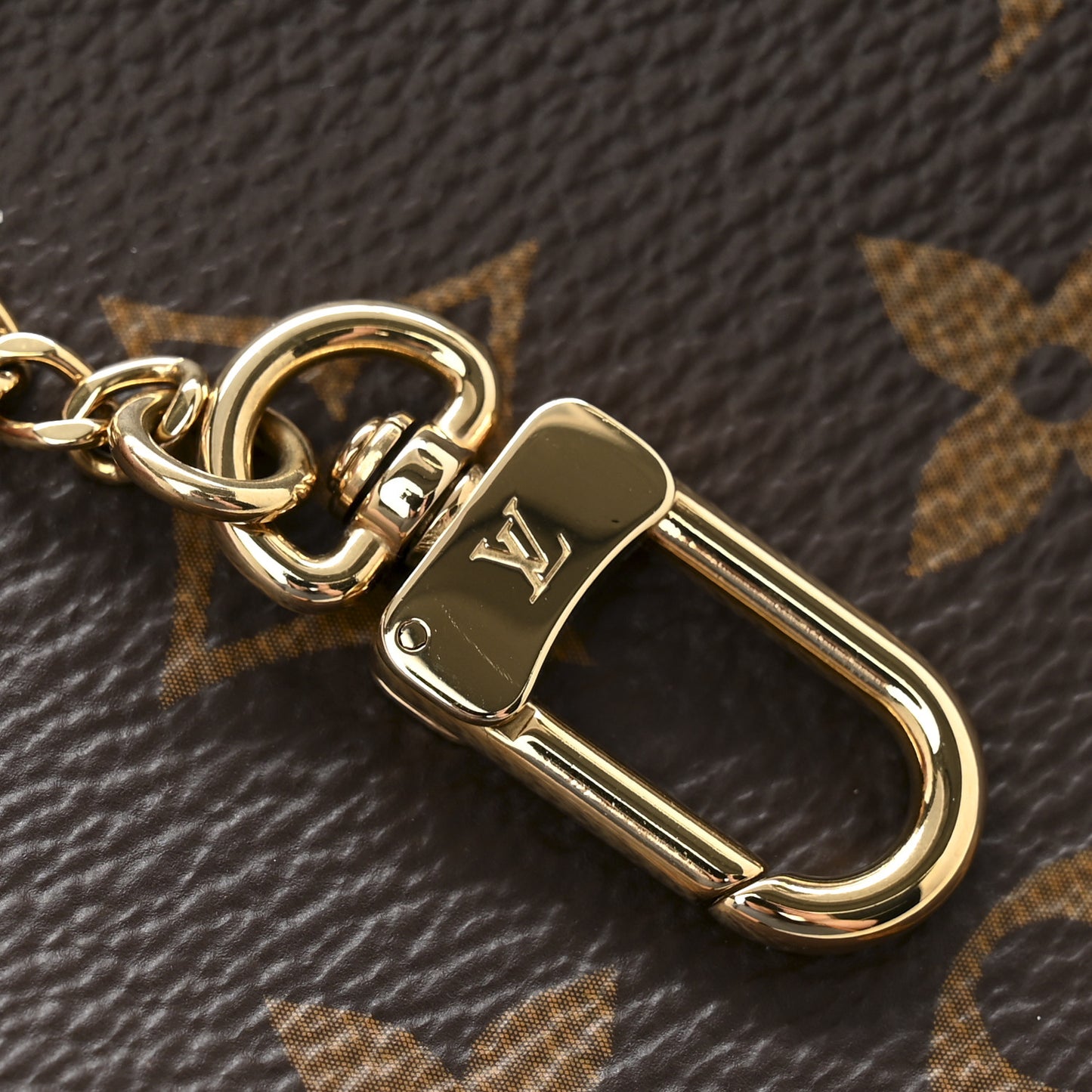 Monogram Mini Pochette Accessories