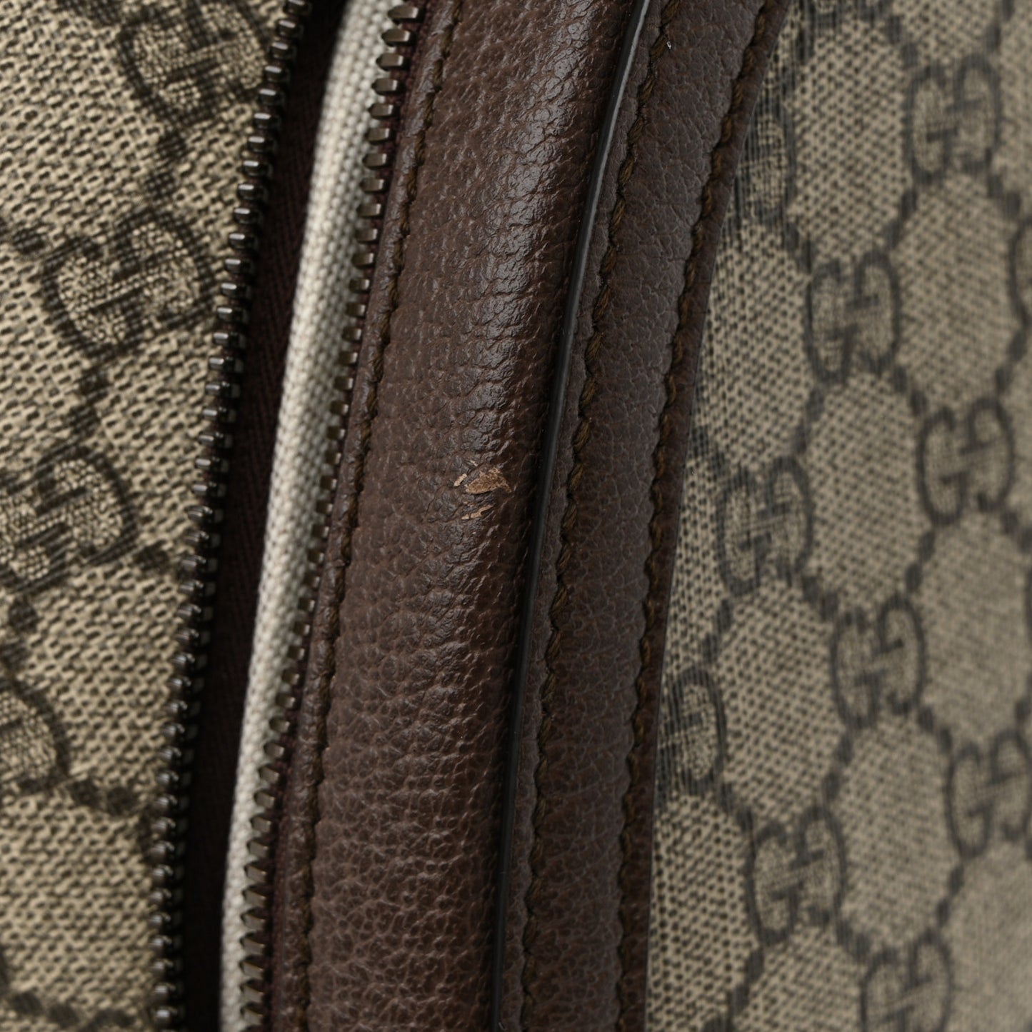 GG Supreme Monogram Medium Ophidia Day Backpack Brown