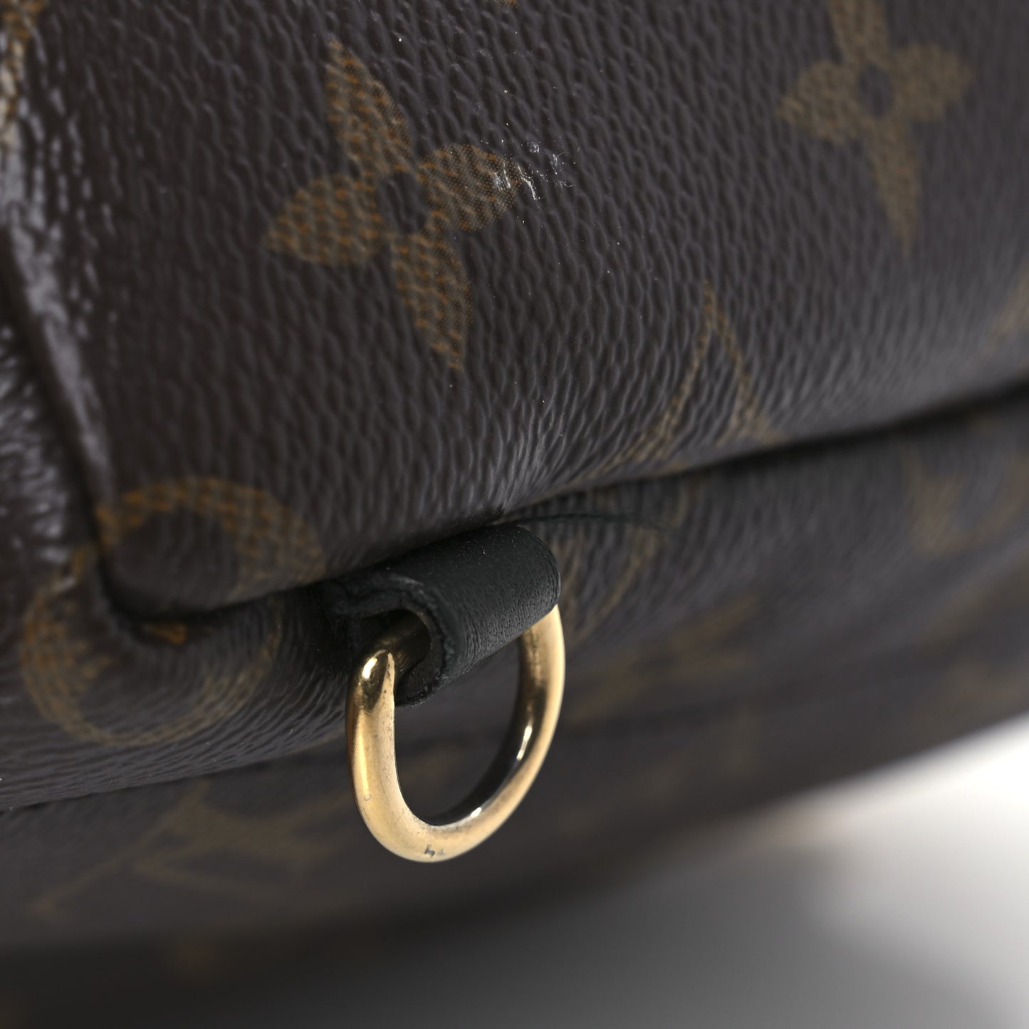 Monogram Palm Springs Backpack Mini