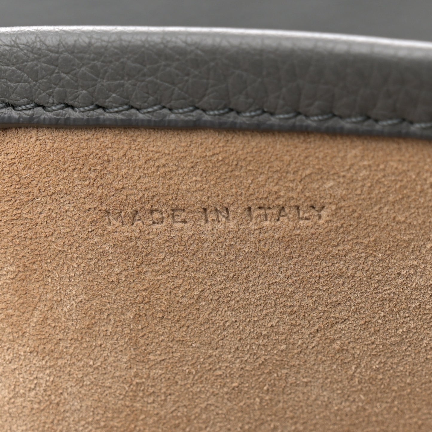 Grained Calfskin Large N/S Park Tote Elephant