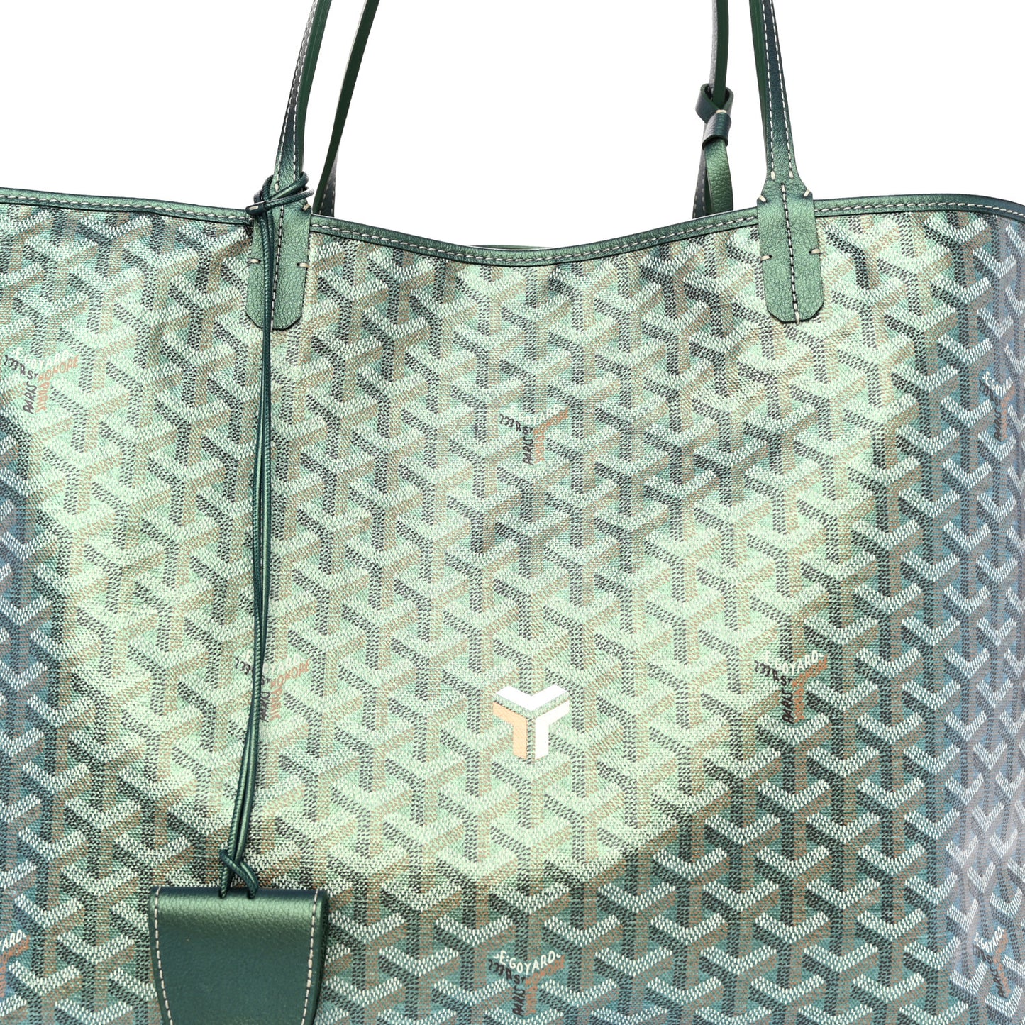 Iridescent Goyardine Saint Louis GM Pearly Green