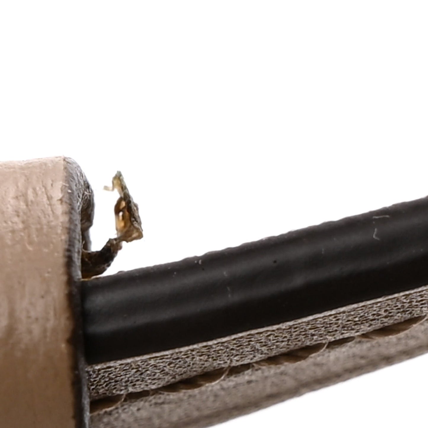 Empreinte Montsouris PM Tourterelle