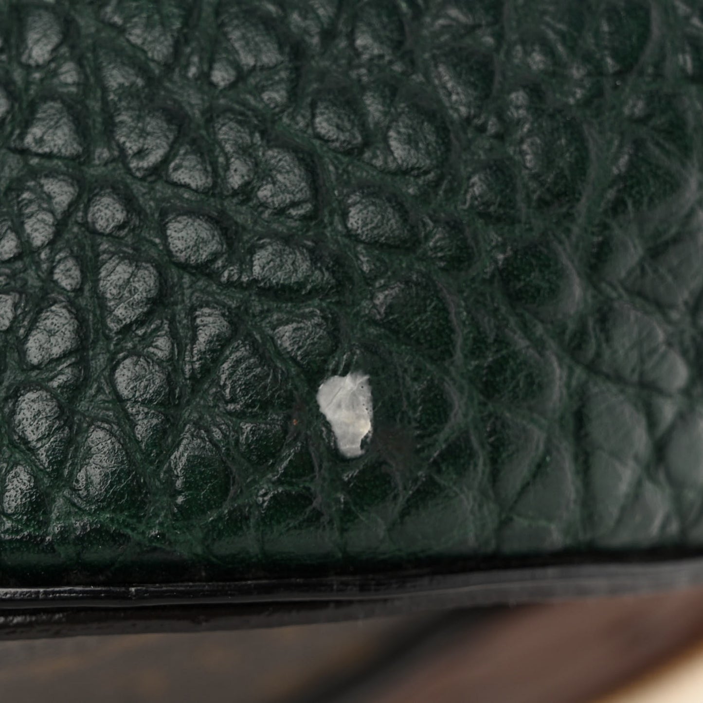 Ostrich Lizard Exotique Majestueux Shoulder Bag Vert