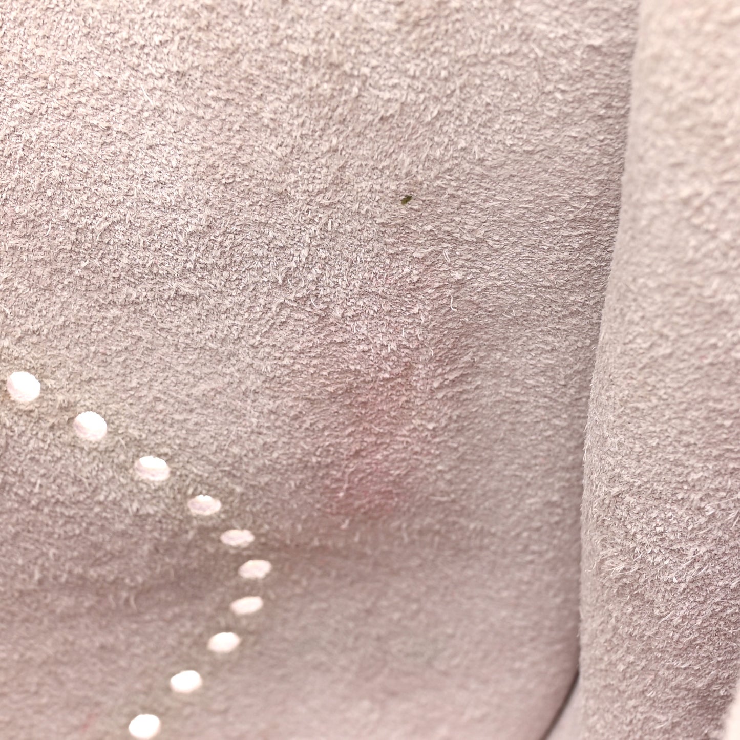 Taurillon Clemence Evelyne III PM Rose Sakura